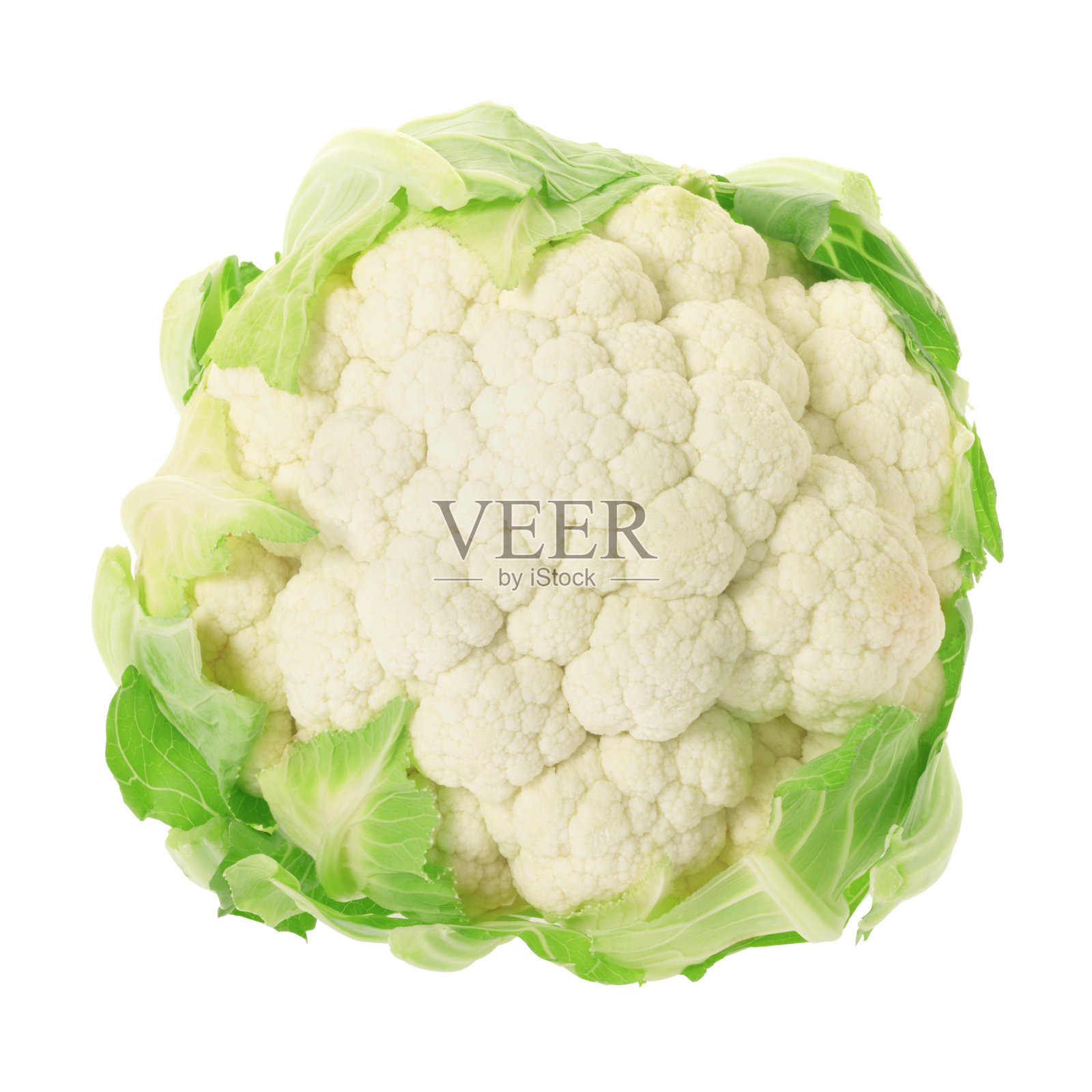 菜花照片摄影图片