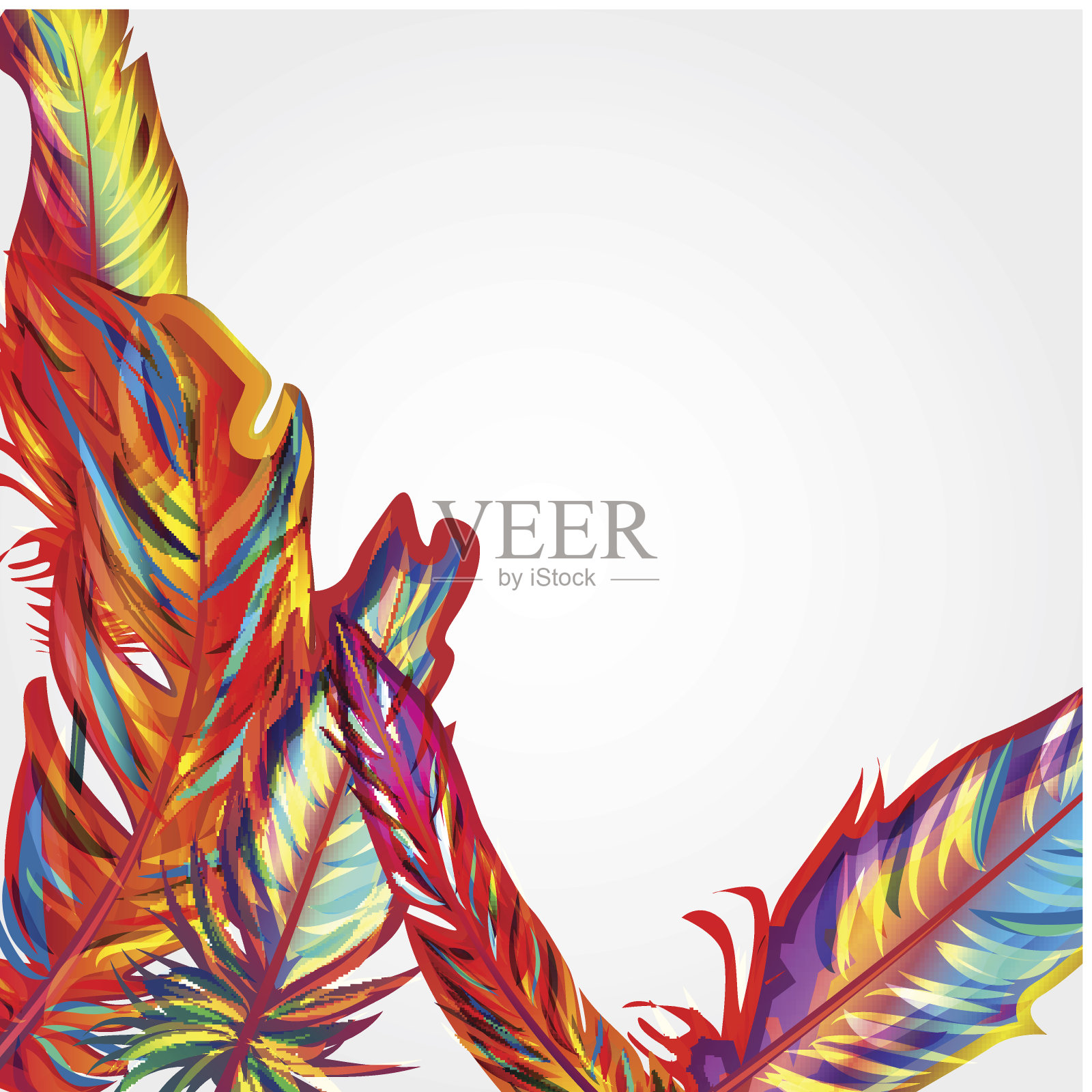 鲜艳的羽毛插画图片素材