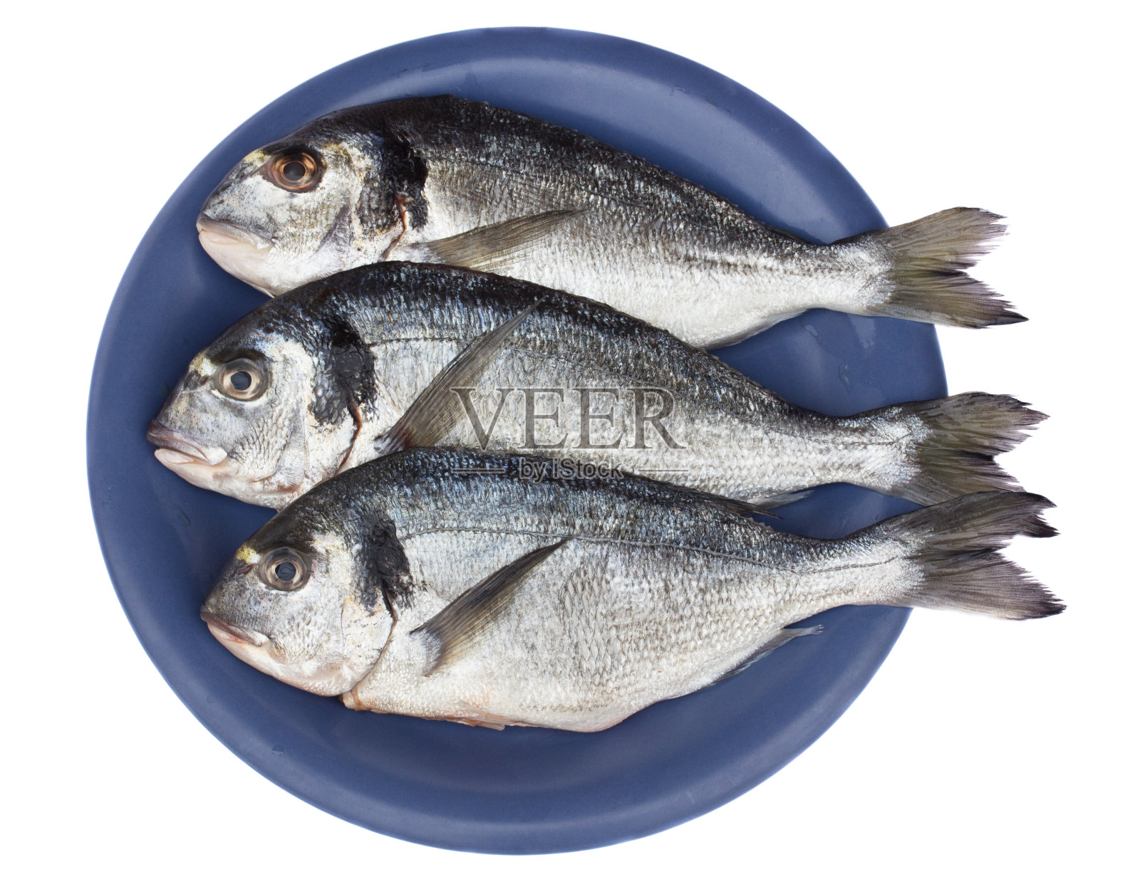 镀金头（多拉达）照片摄影图片