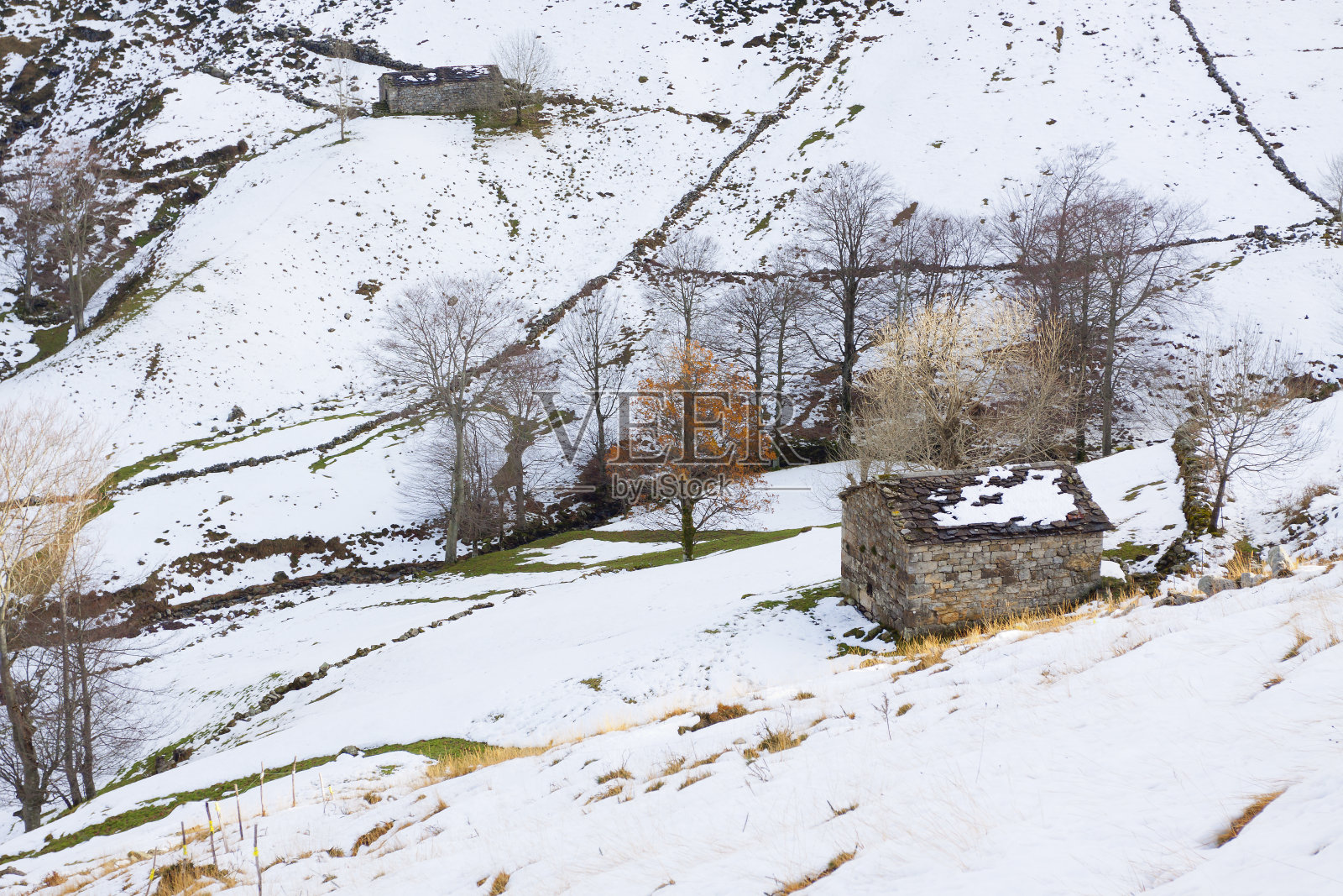 雪中的小农舍。照片摄影图片