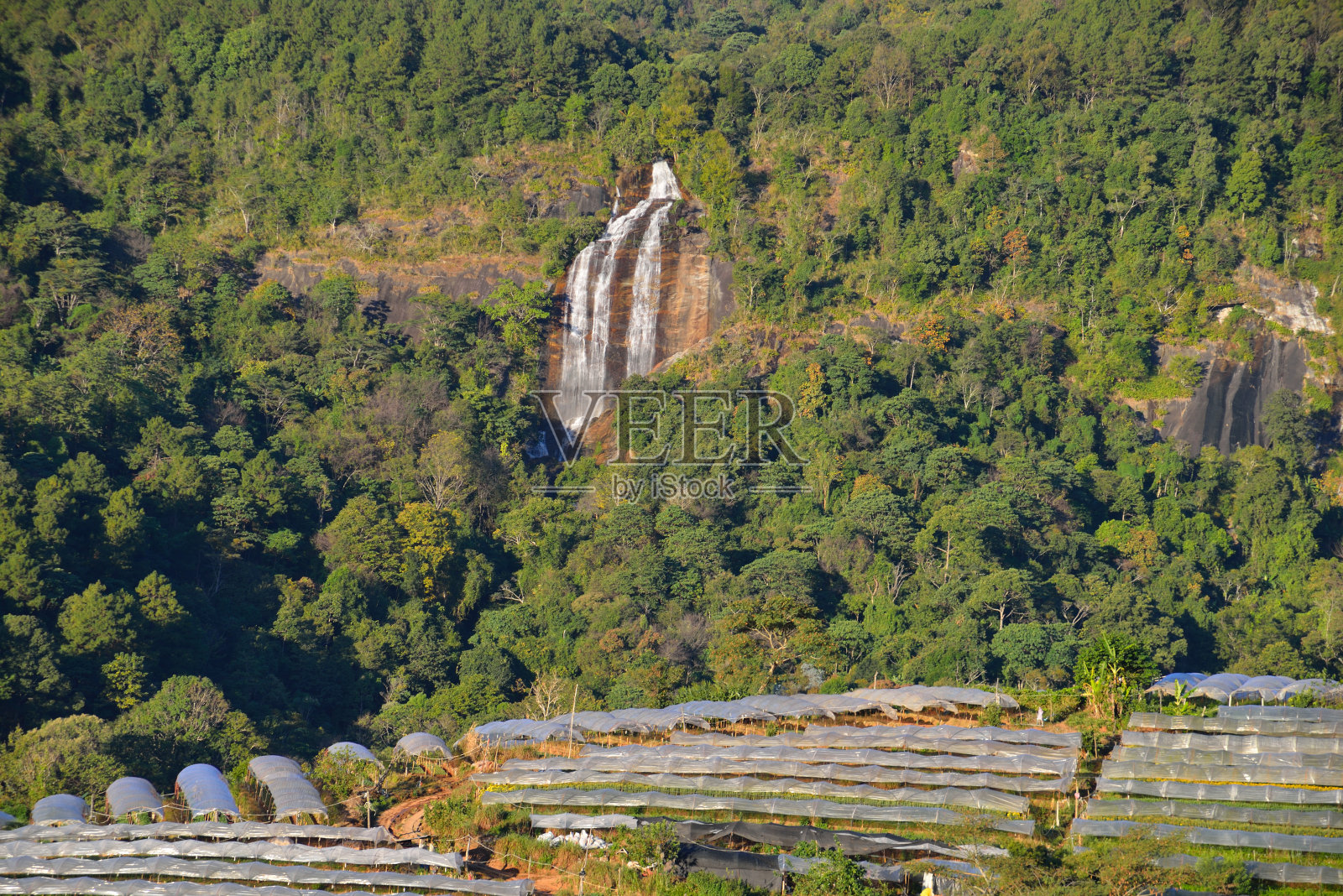 农业照片摄影图片