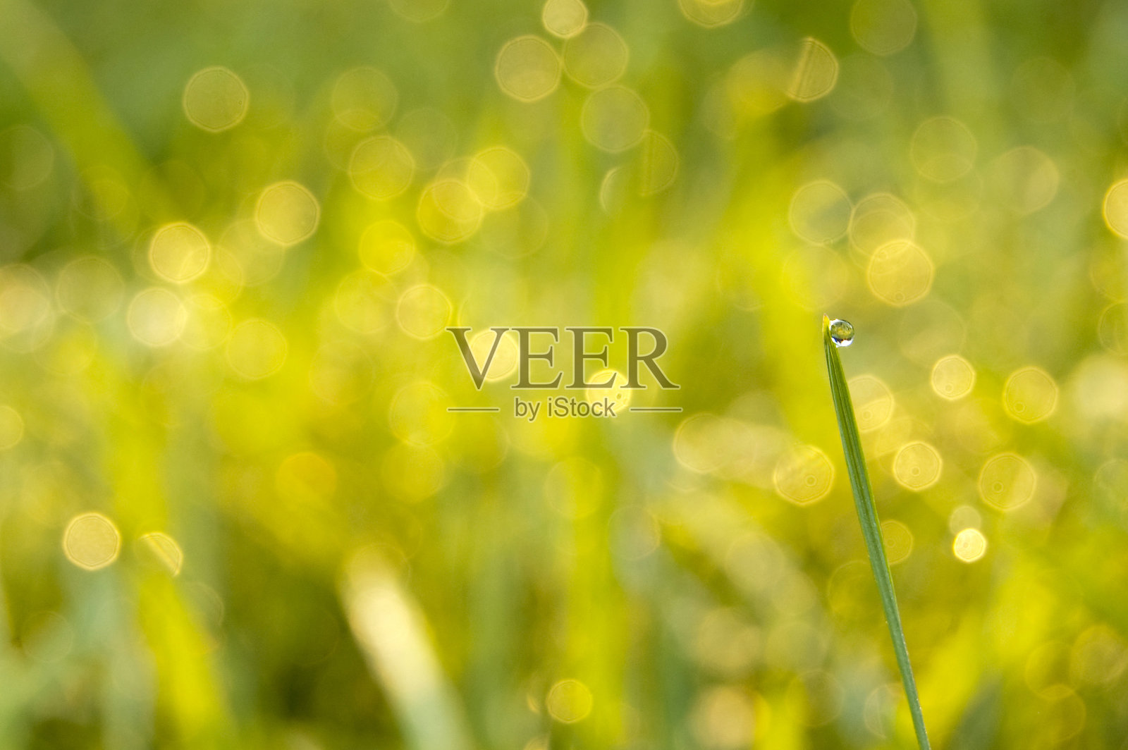 你不是在照片摄影图片