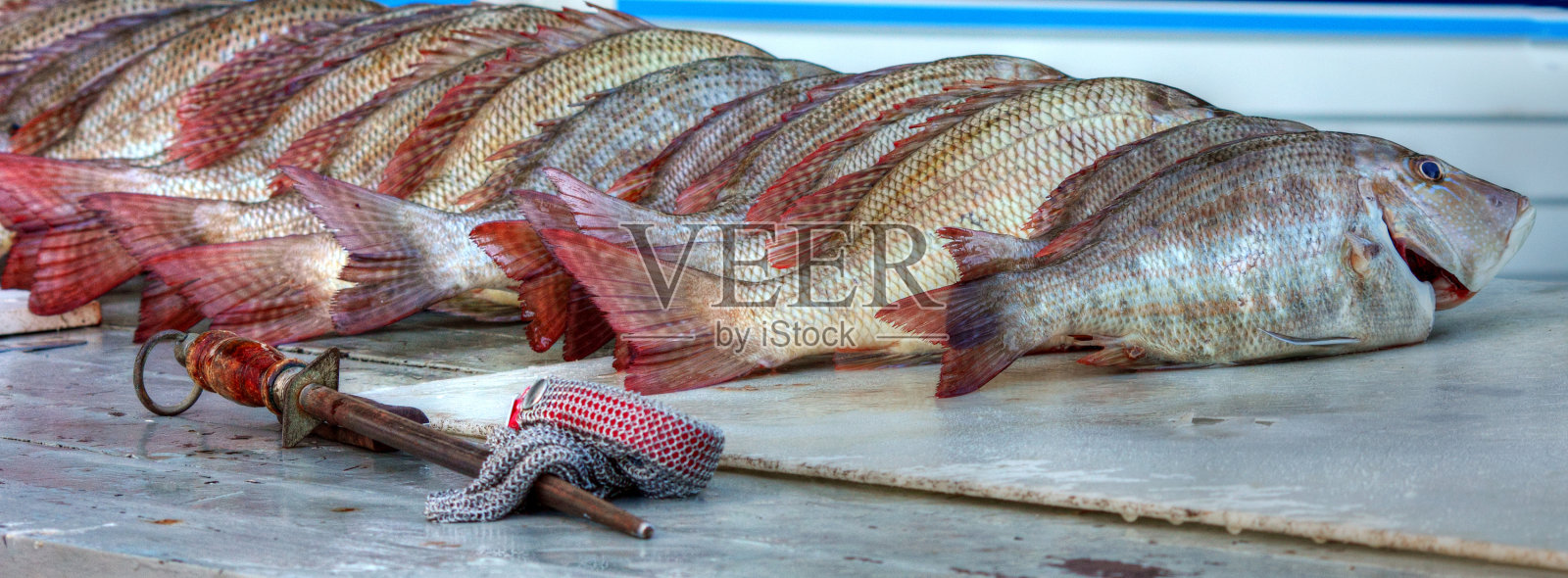 钓鱼照片摄影图片