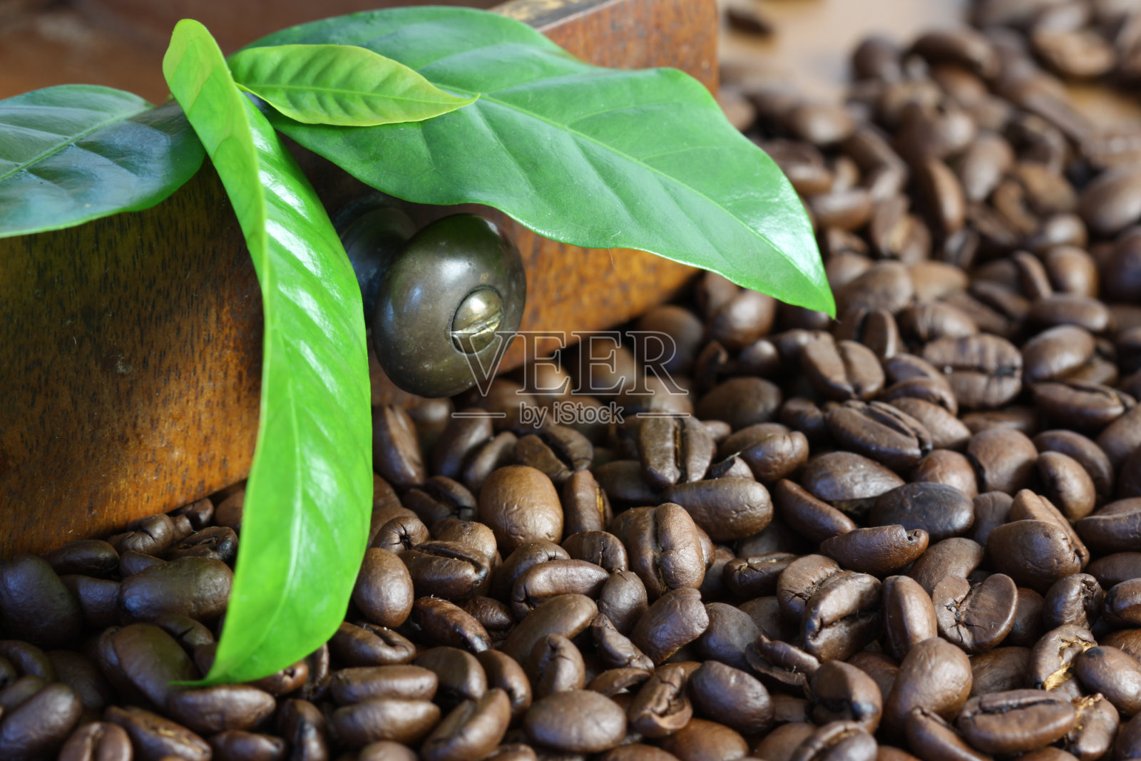 静物画照片摄影图片