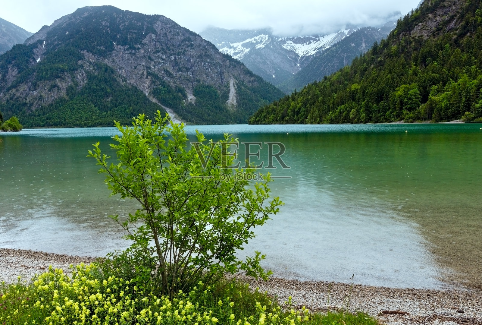 Plansee夏季景观(奥地利)。照片摄影图片