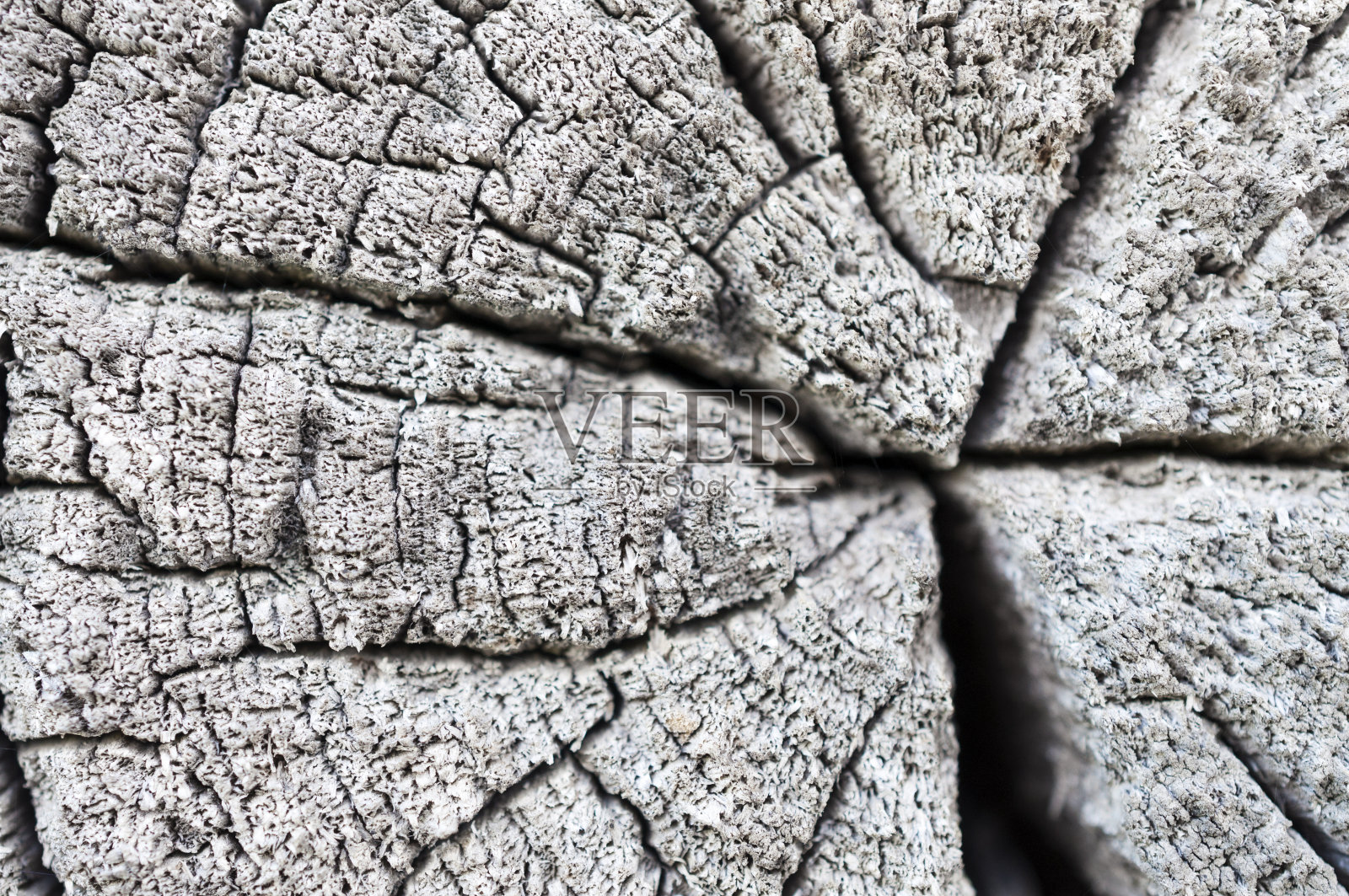 对接圆木的表面照片摄影图片