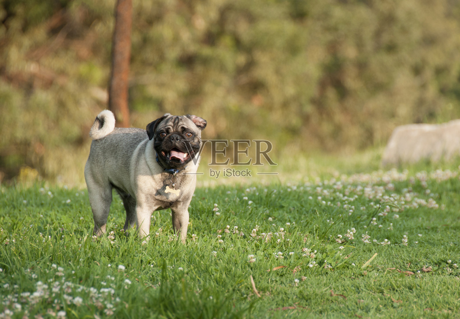 皱着眉头照片摄影图片