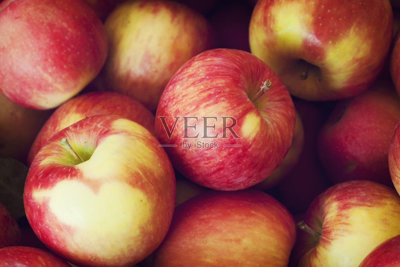 苹果照片摄影图片