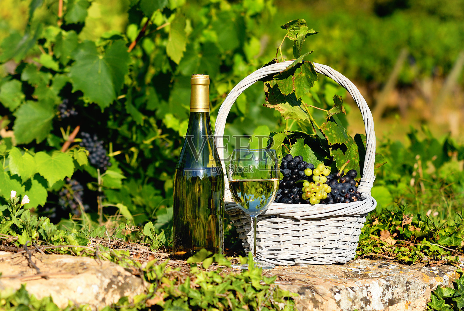 收获和酒照片摄影图片