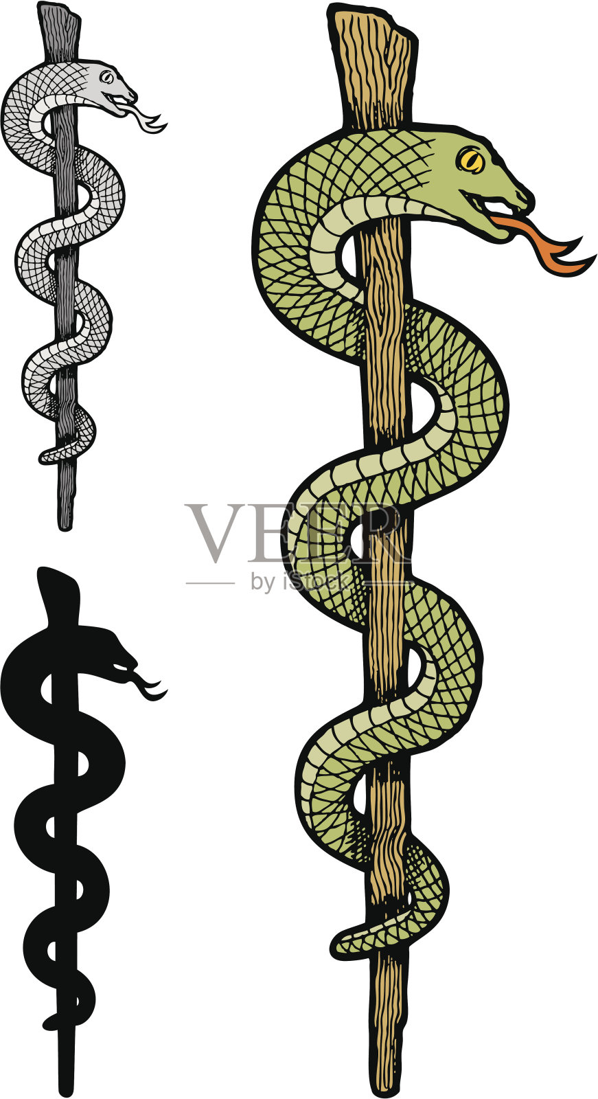 一个蛇墨丘利的节插画图片素材