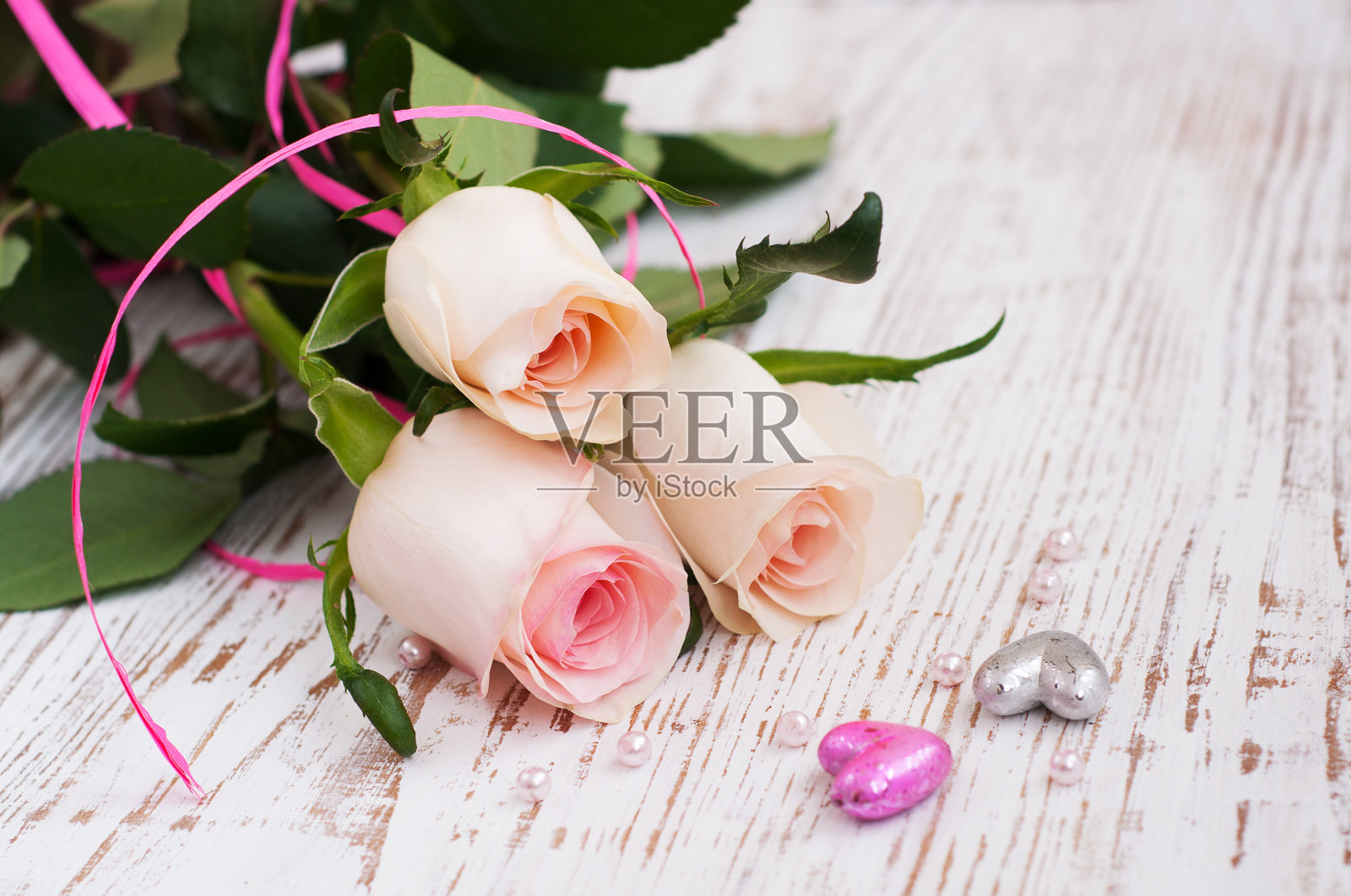 粉色的玫瑰照片摄影图片