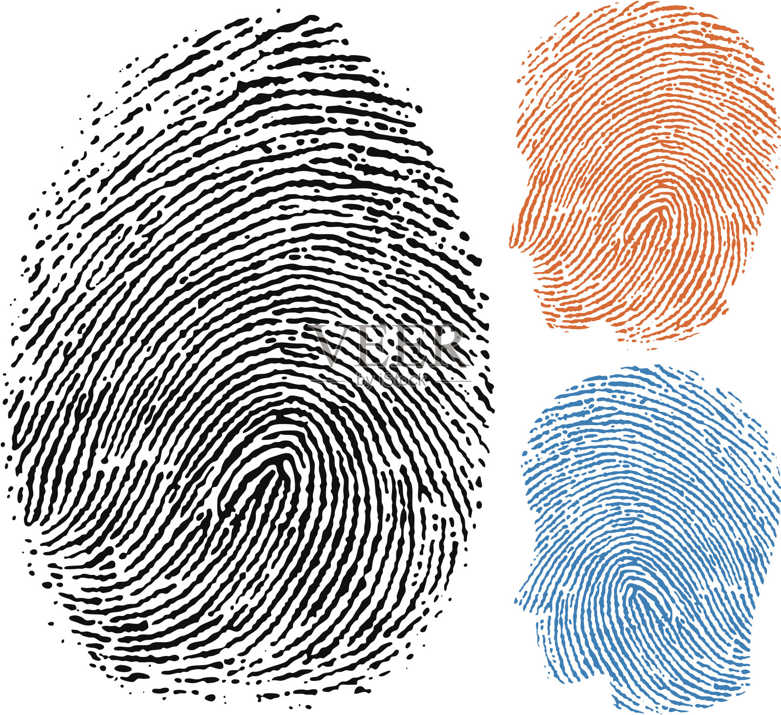 指纹身份插画图片素材
