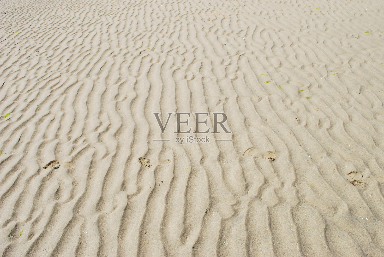 涟漪在沙滩上照片摄影图片