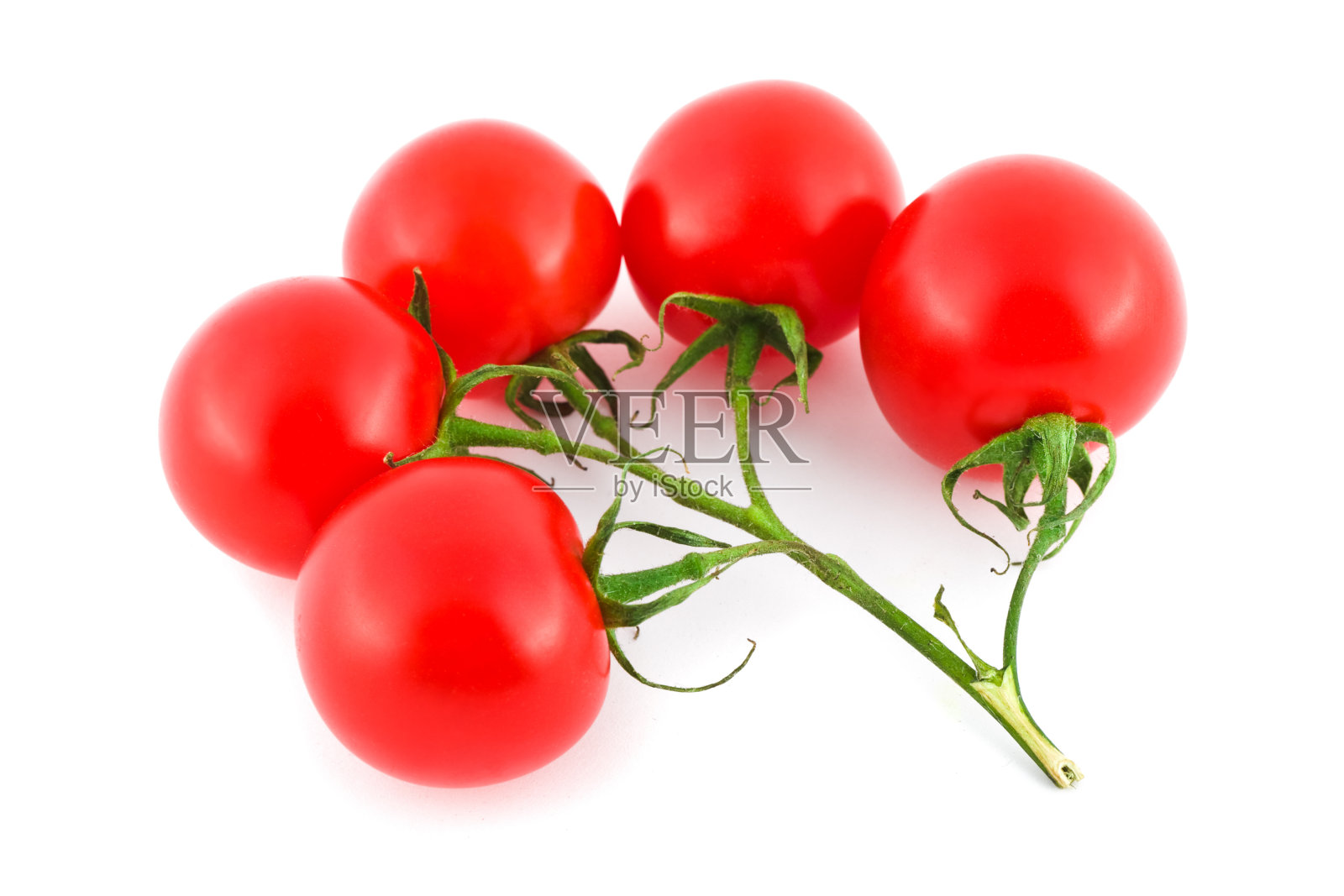 番茄照片摄影图片