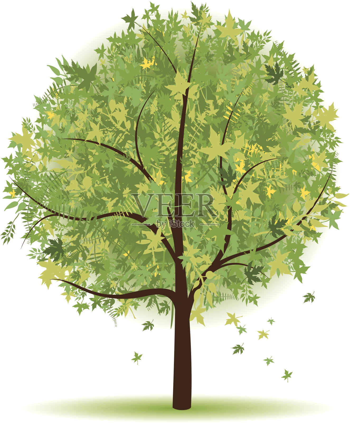 树插画图片素材