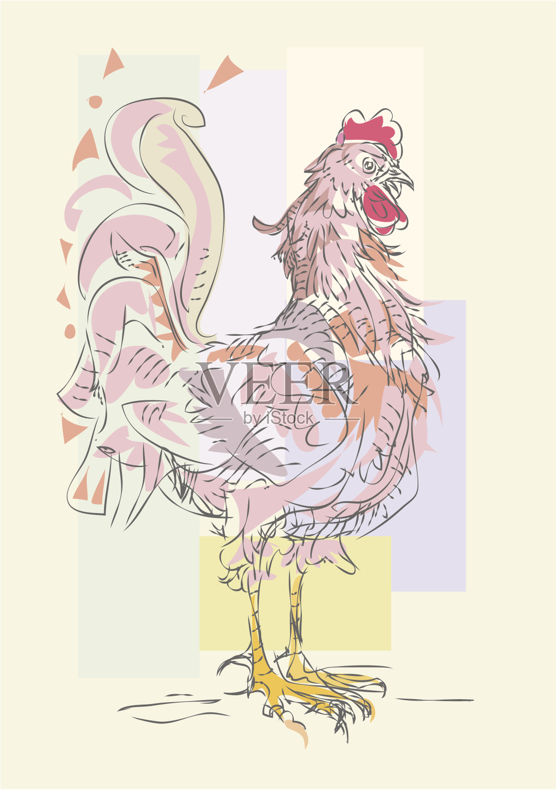 公鸡插画图片素材