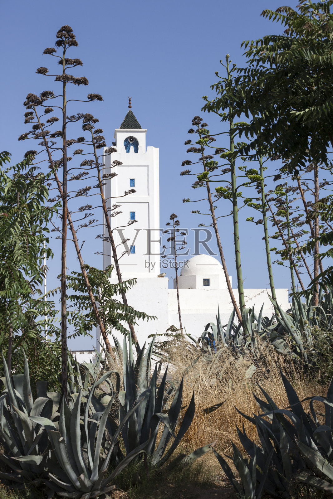 Sidi Bou Said清真寺，突尼斯照片摄影图片