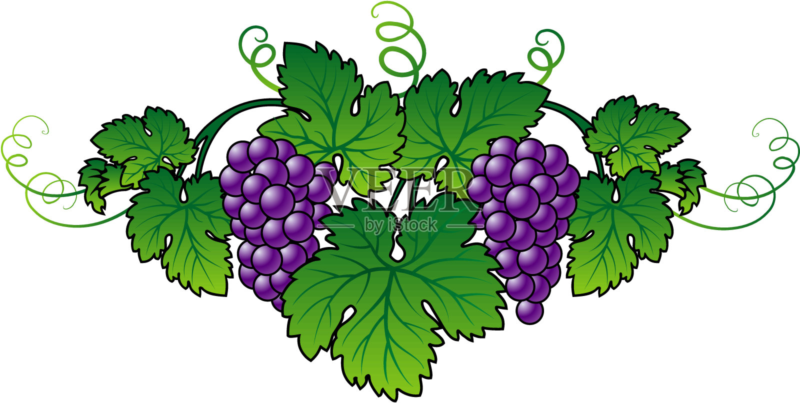 抽象的葡萄设计元素图片