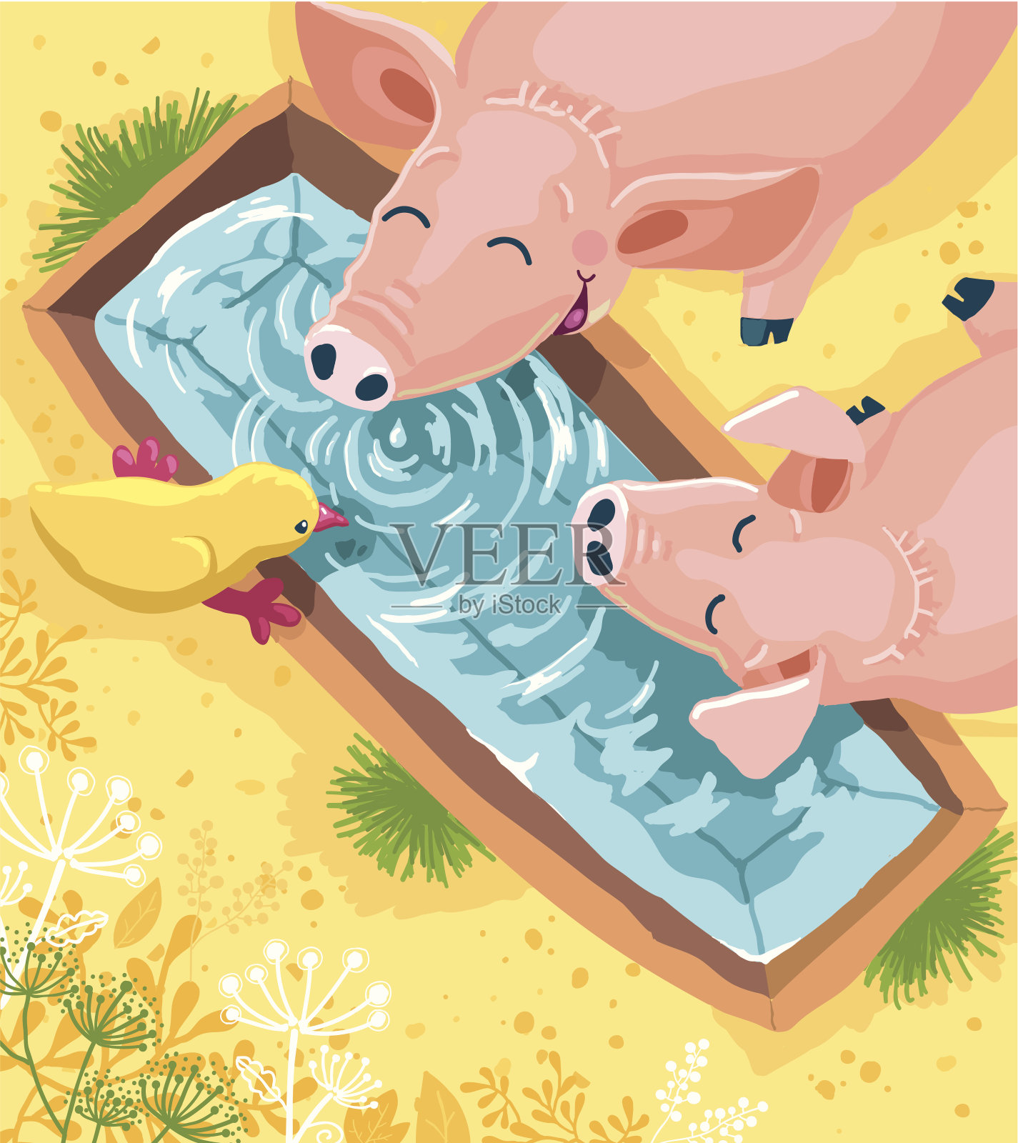 小猪饮水矢量插图插画图片素材