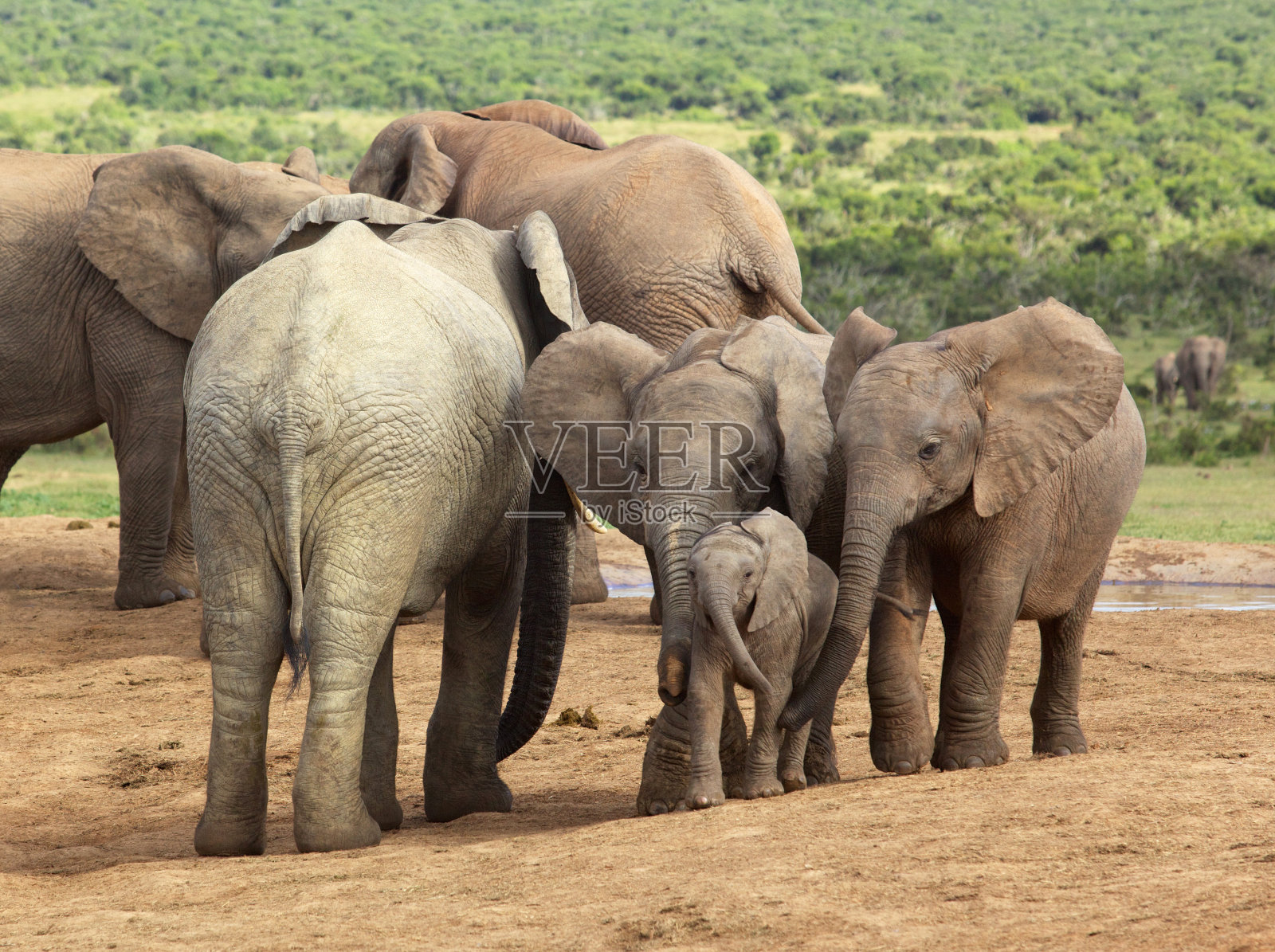 援助之手照片摄影图片