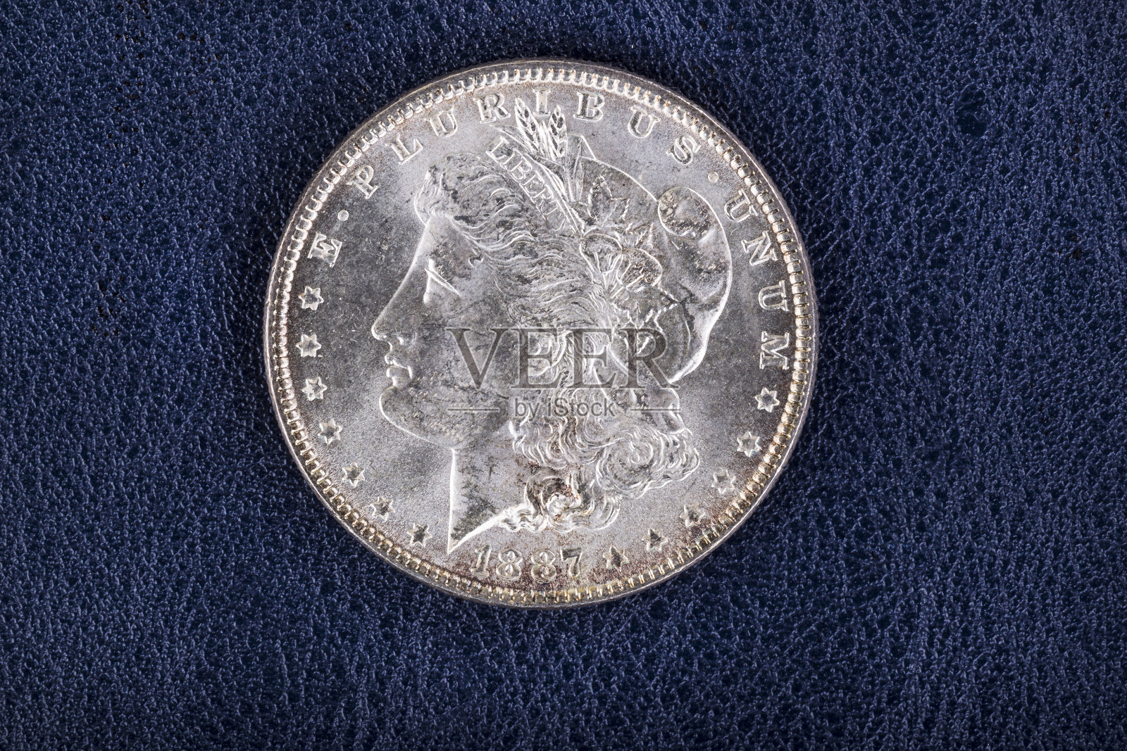 银美元在蓝色乙烯基持有人照片摄影图片