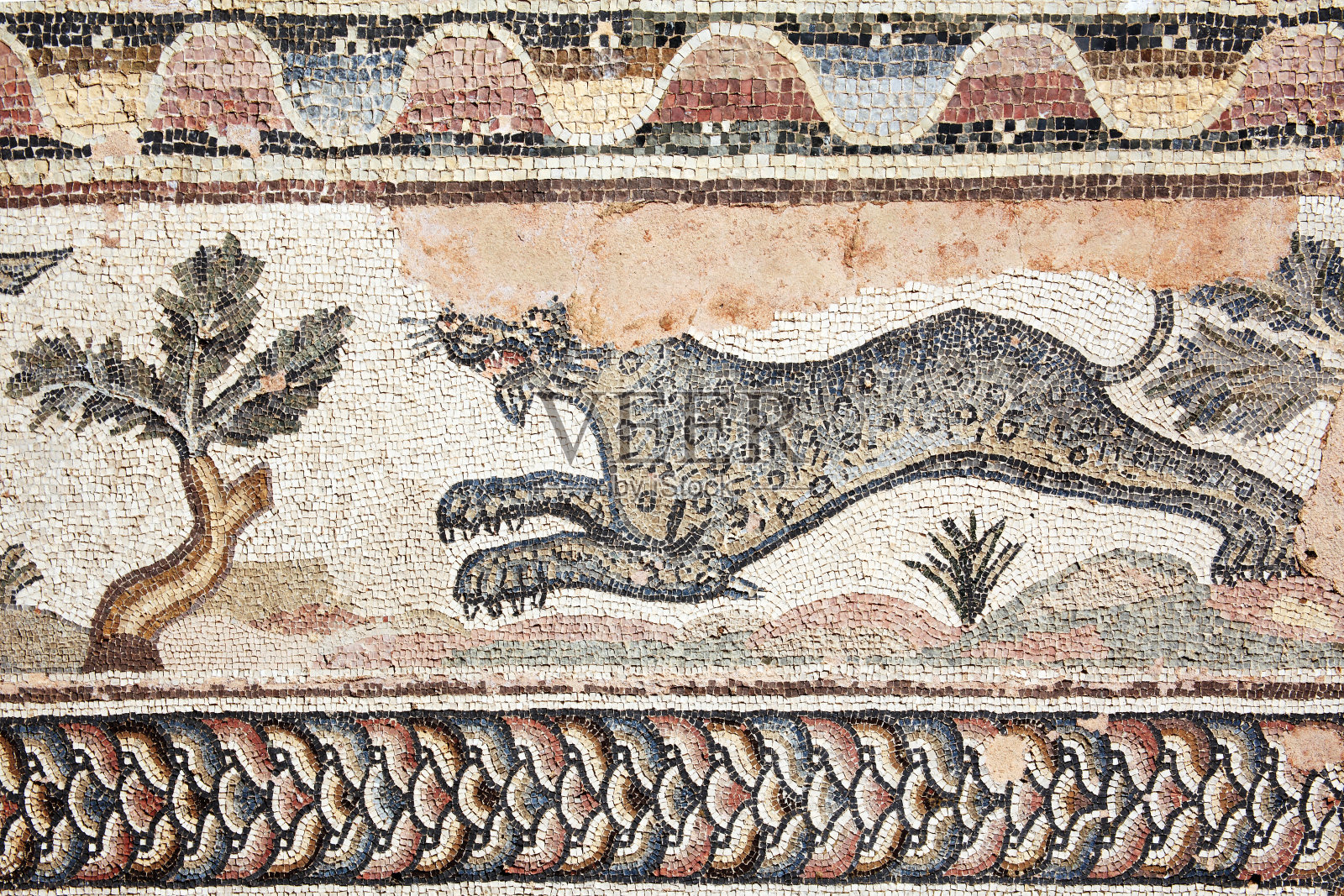 豹马赛克，帕福斯，塞浦路斯照片摄影图片