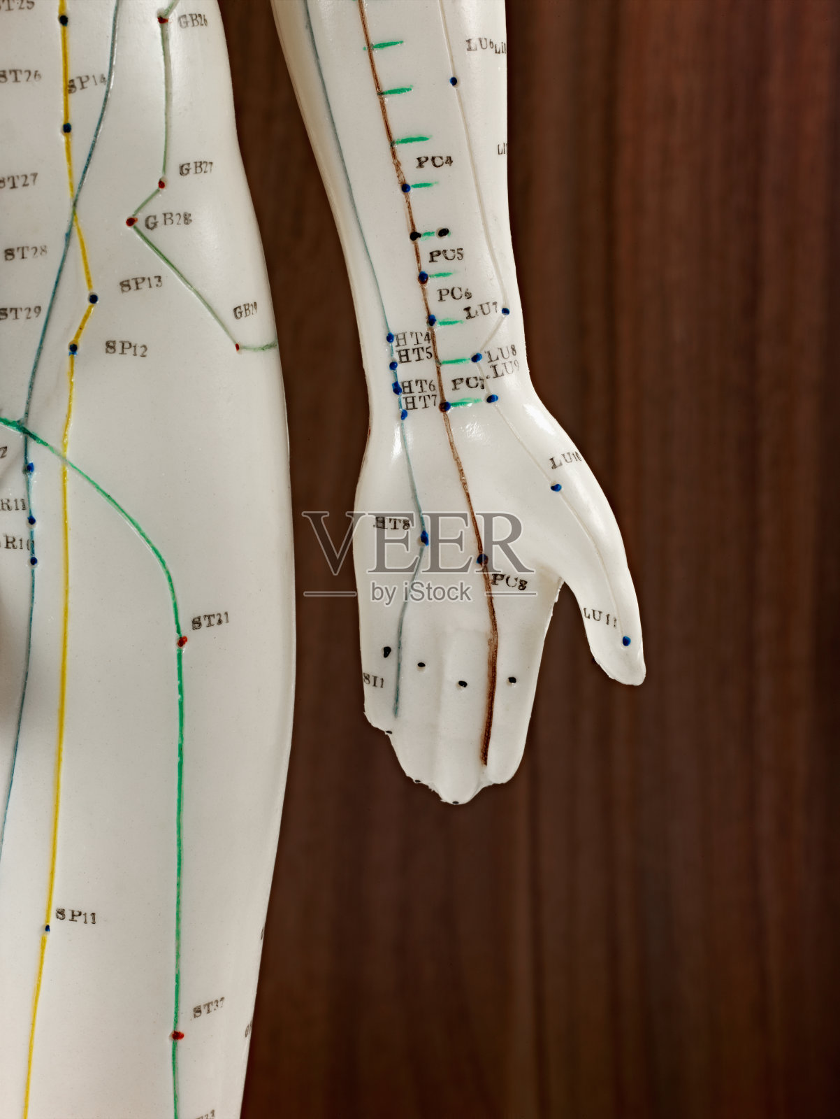 医用玩偶的左手照片摄影图片