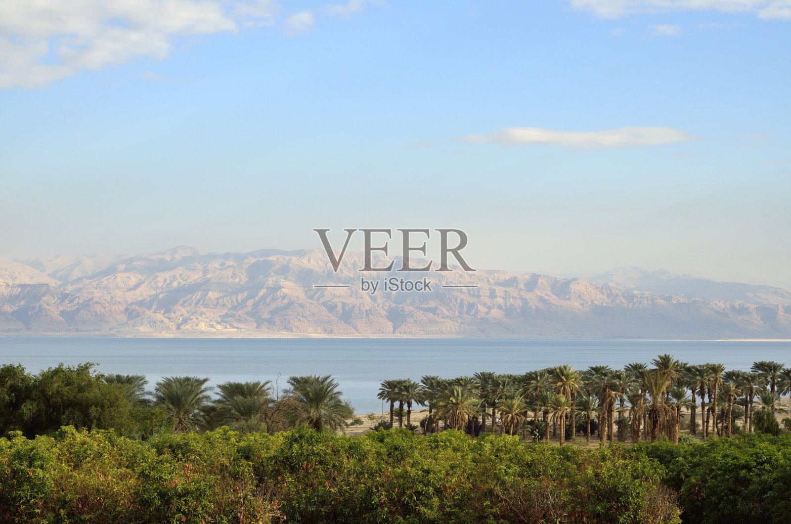 死海绿洲景观照片摄影图片