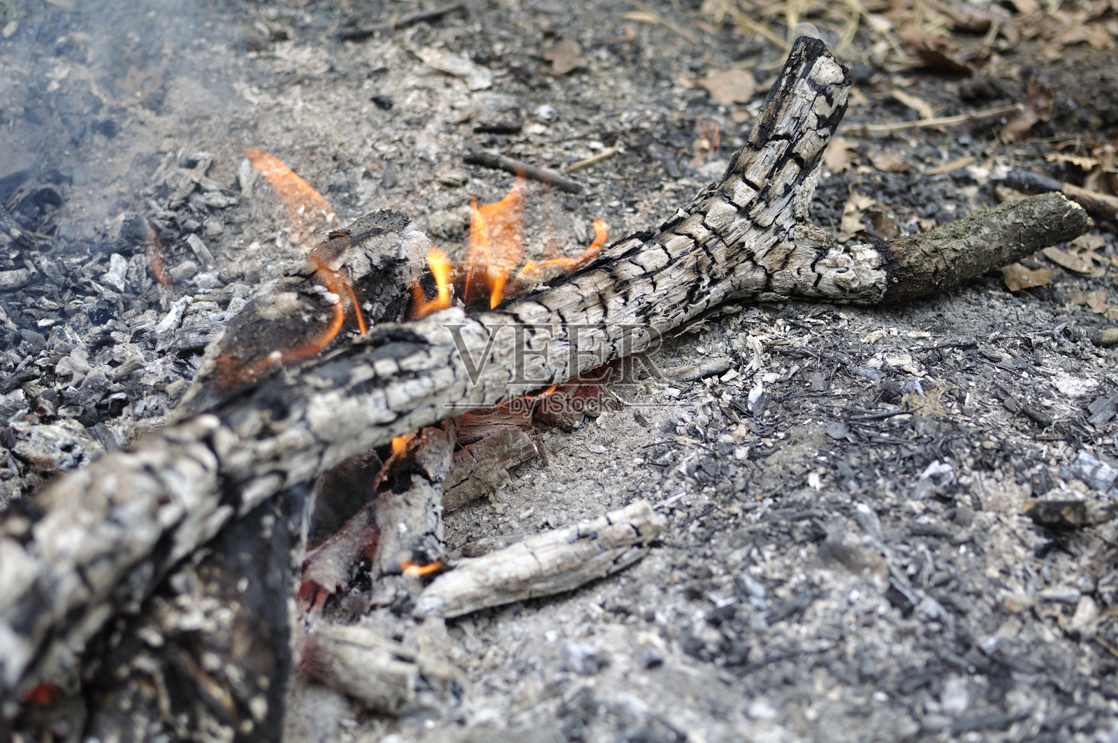 在大自然中准备篝火照片摄影图片