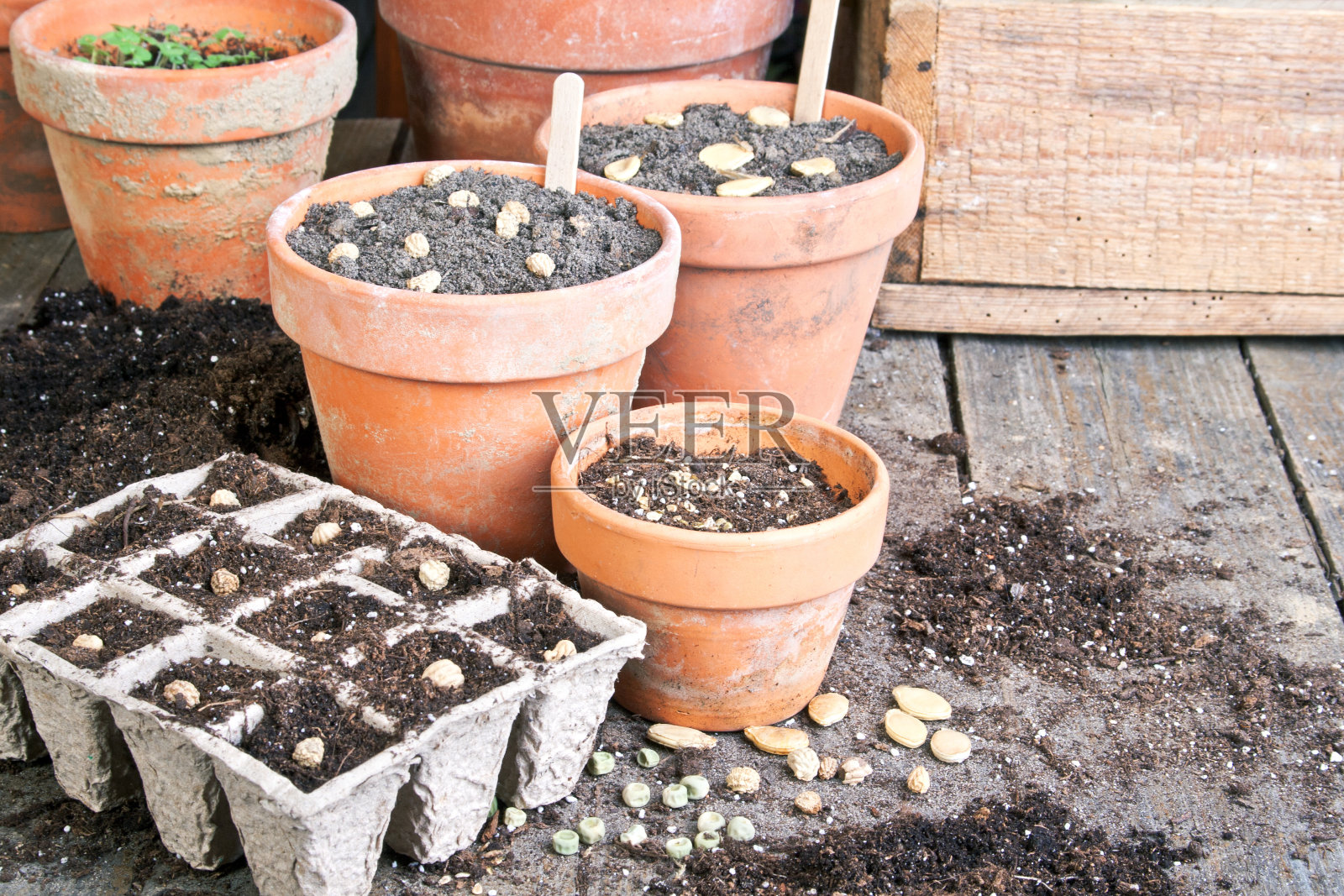 播种照片摄影图片