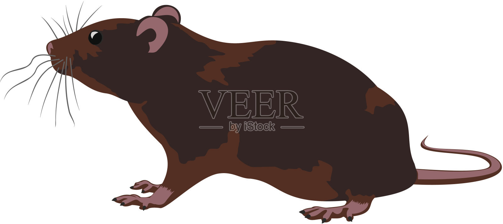 老鼠,老鼠设计元素图片