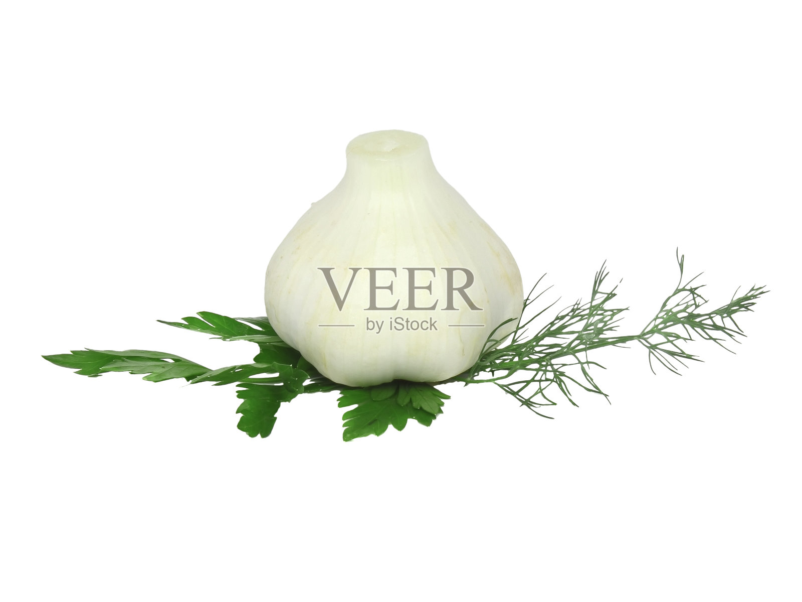 大蒜，欧芹装饰。孤立的照片摄影图片