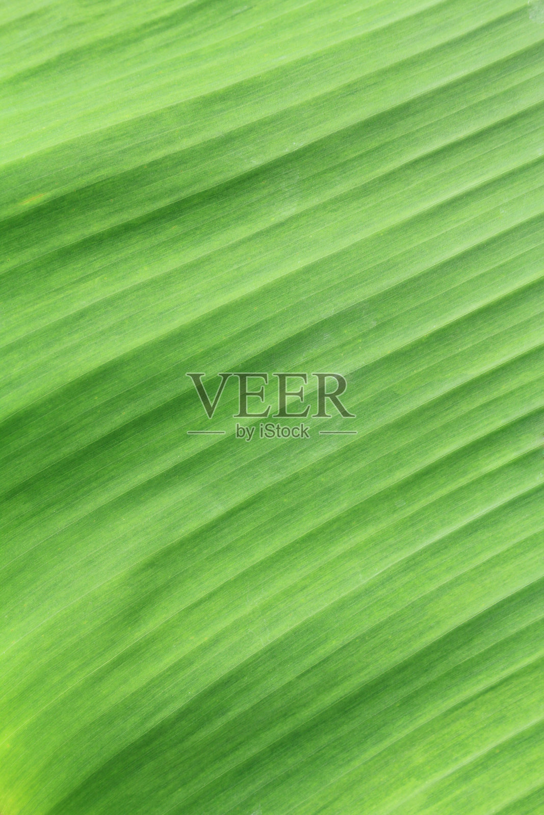 抽象的背景照片摄影图片