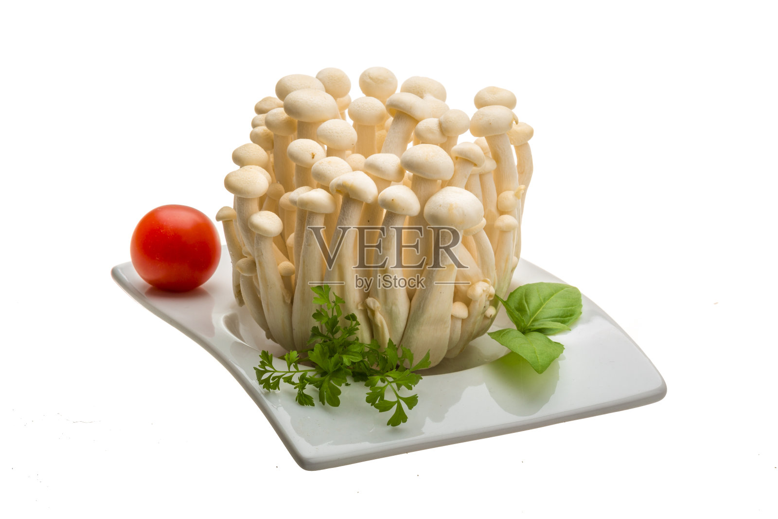 日本蘑菇Shimeji照片摄影图片