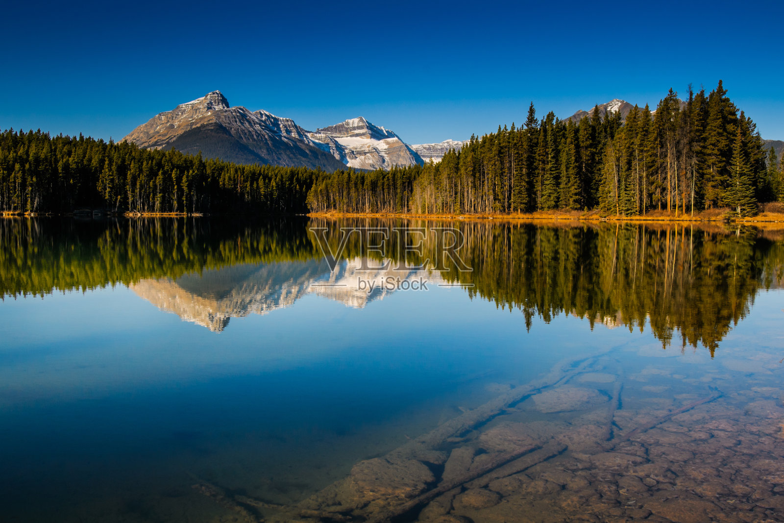 赫伯特湖照片摄影图片