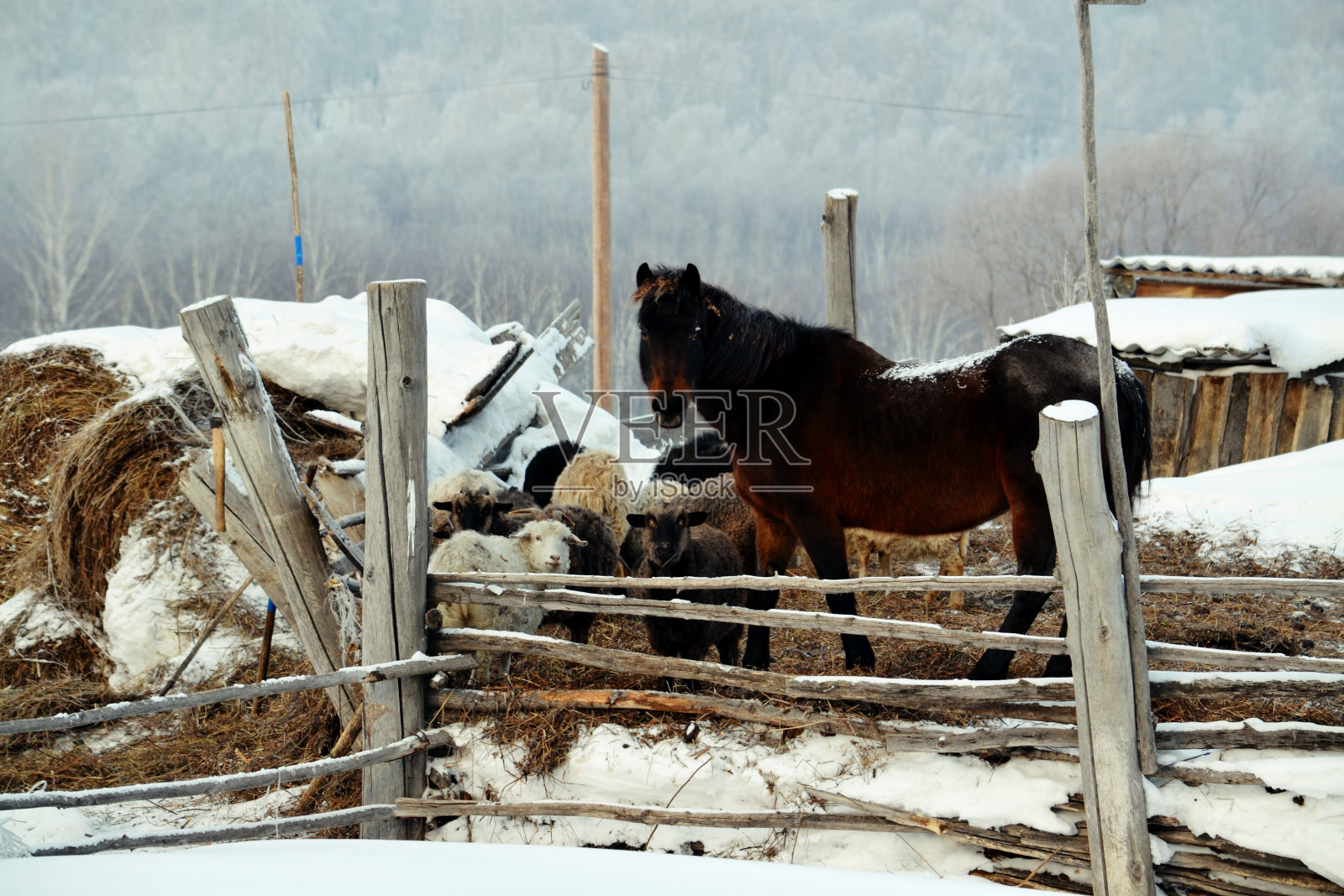 乡村的照片照片摄影图片