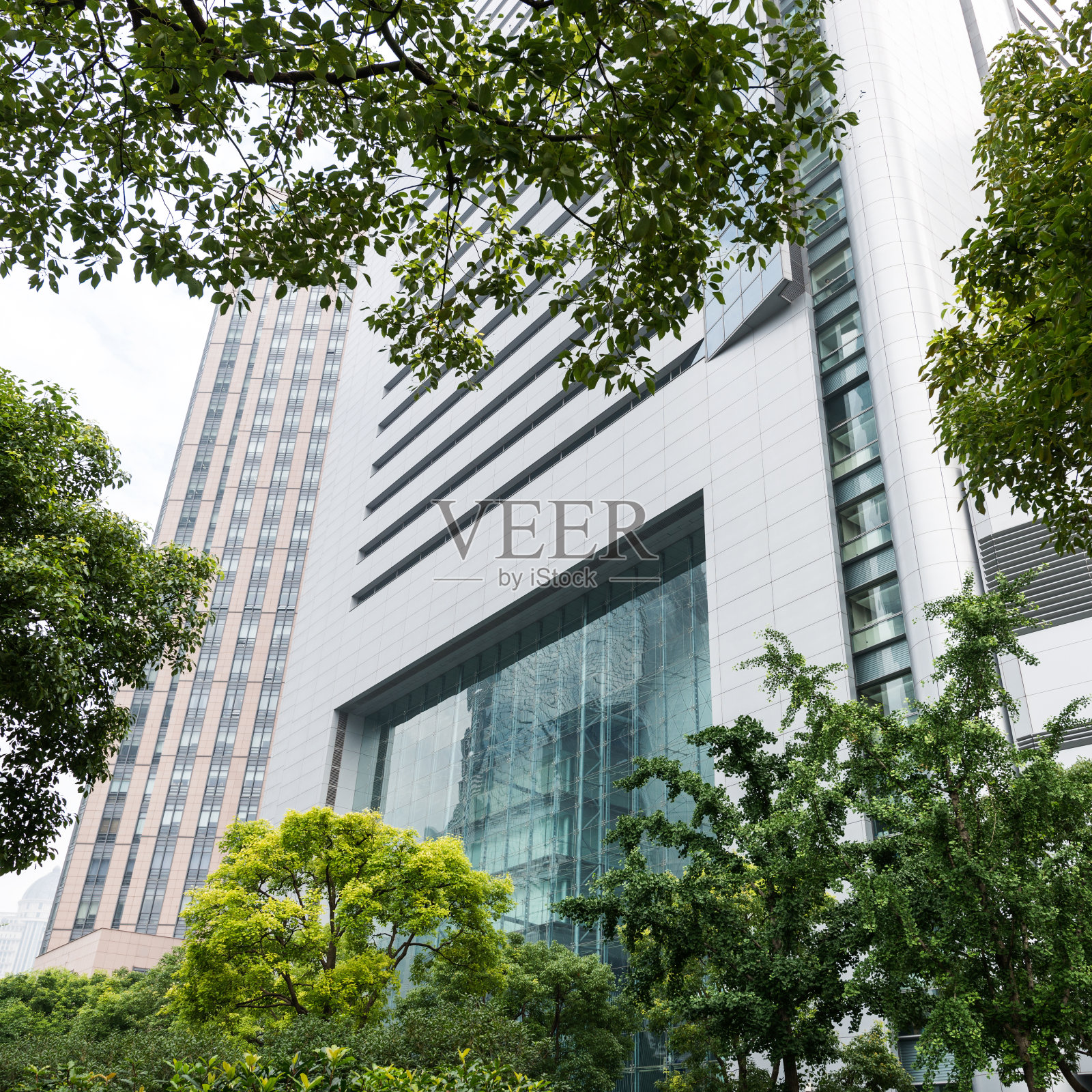 树木和建筑照片摄影图片