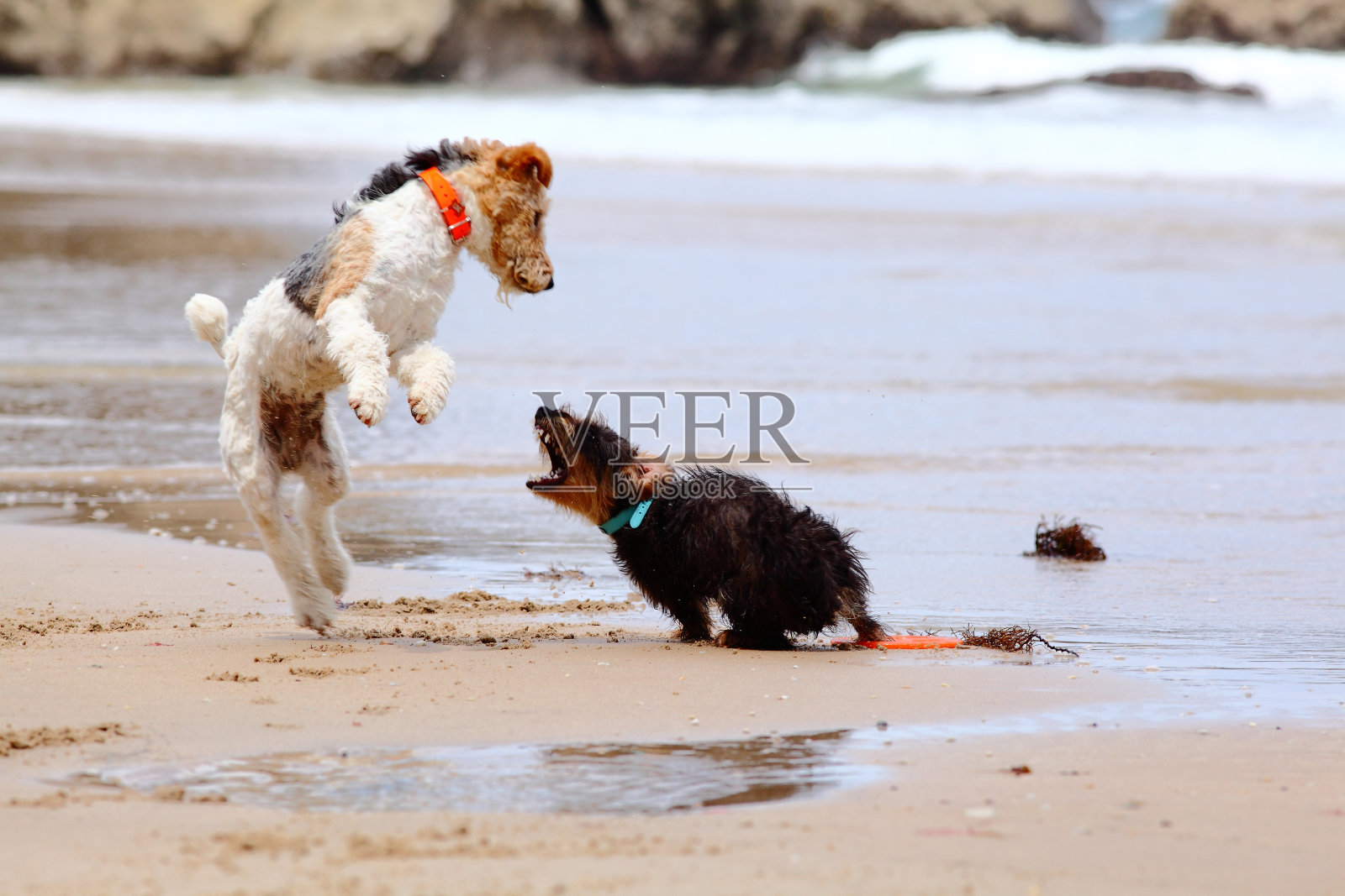 很严重照片摄影图片