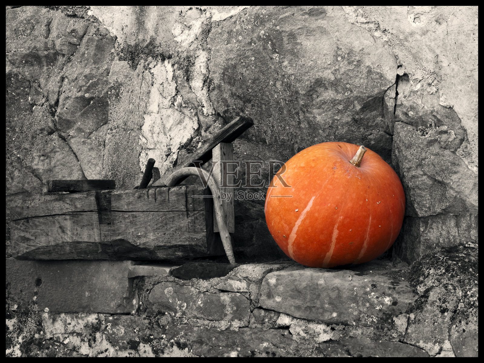 橙色的南瓜照片摄影图片