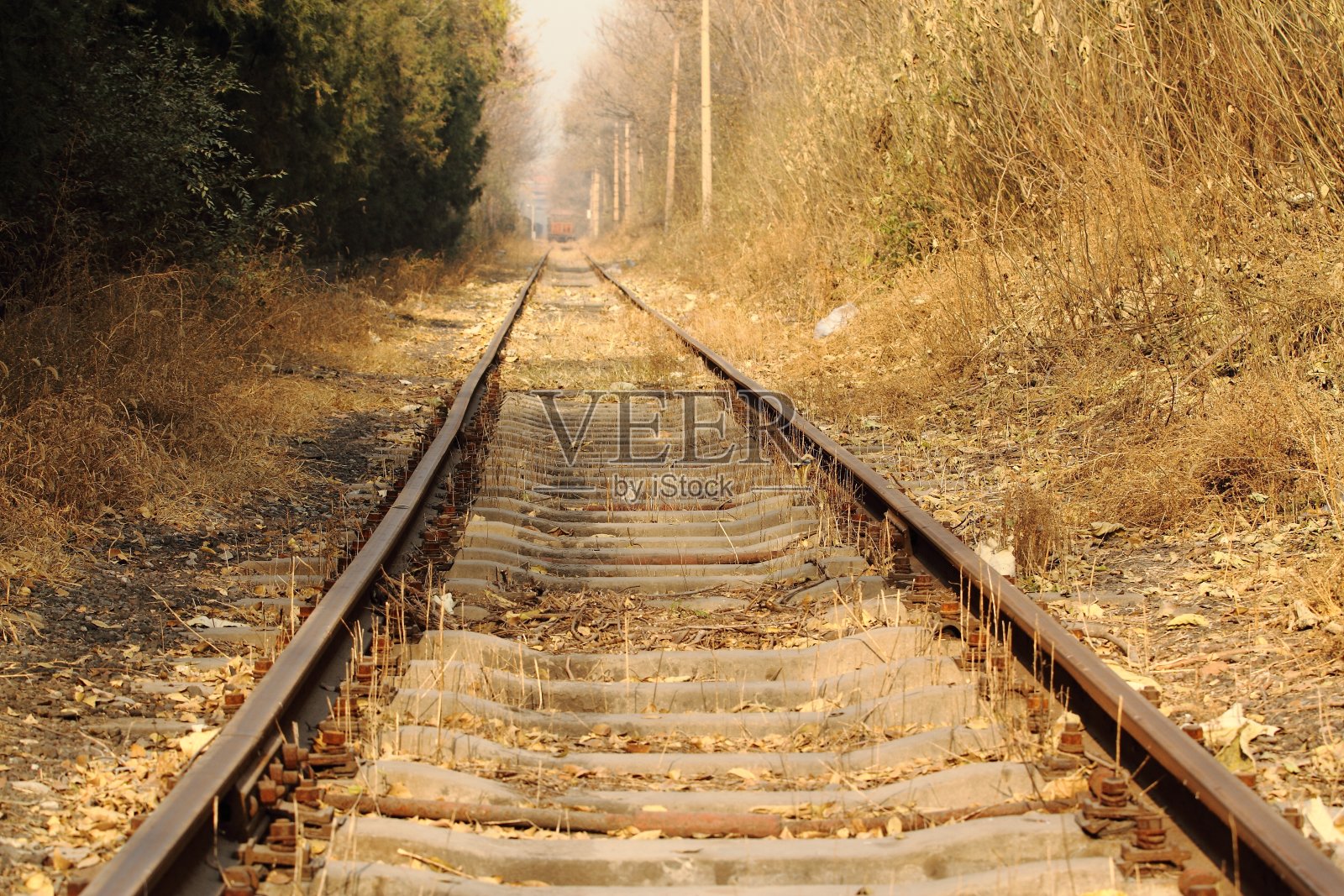 废弃的铁路照片摄影图片