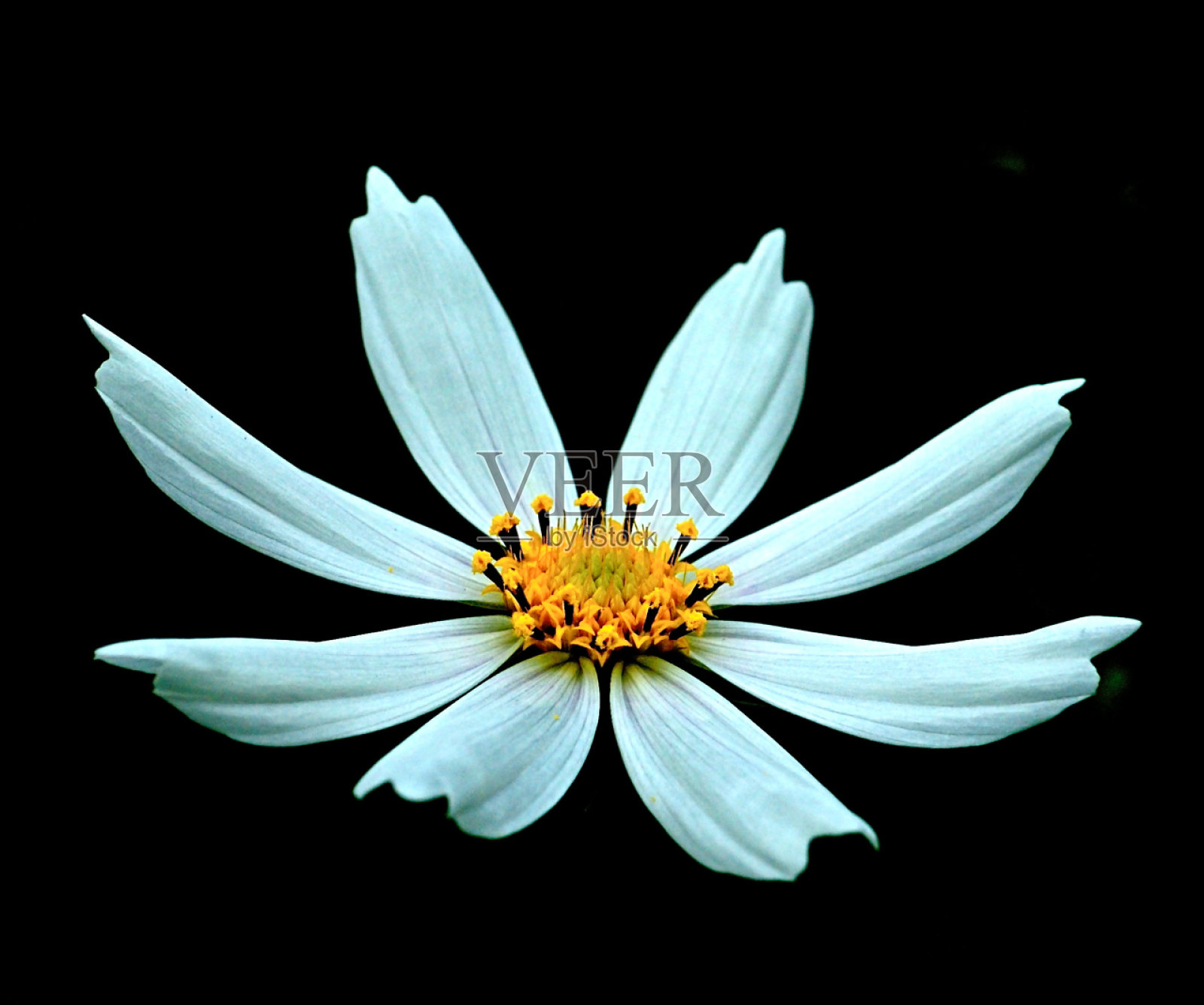 宇宙照片摄影图片