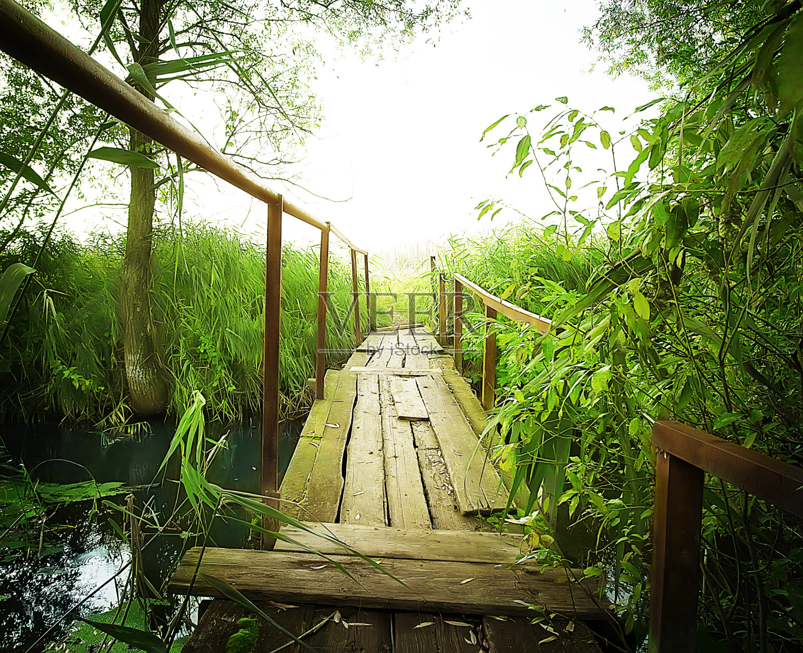 古老的木桥照片摄影图片