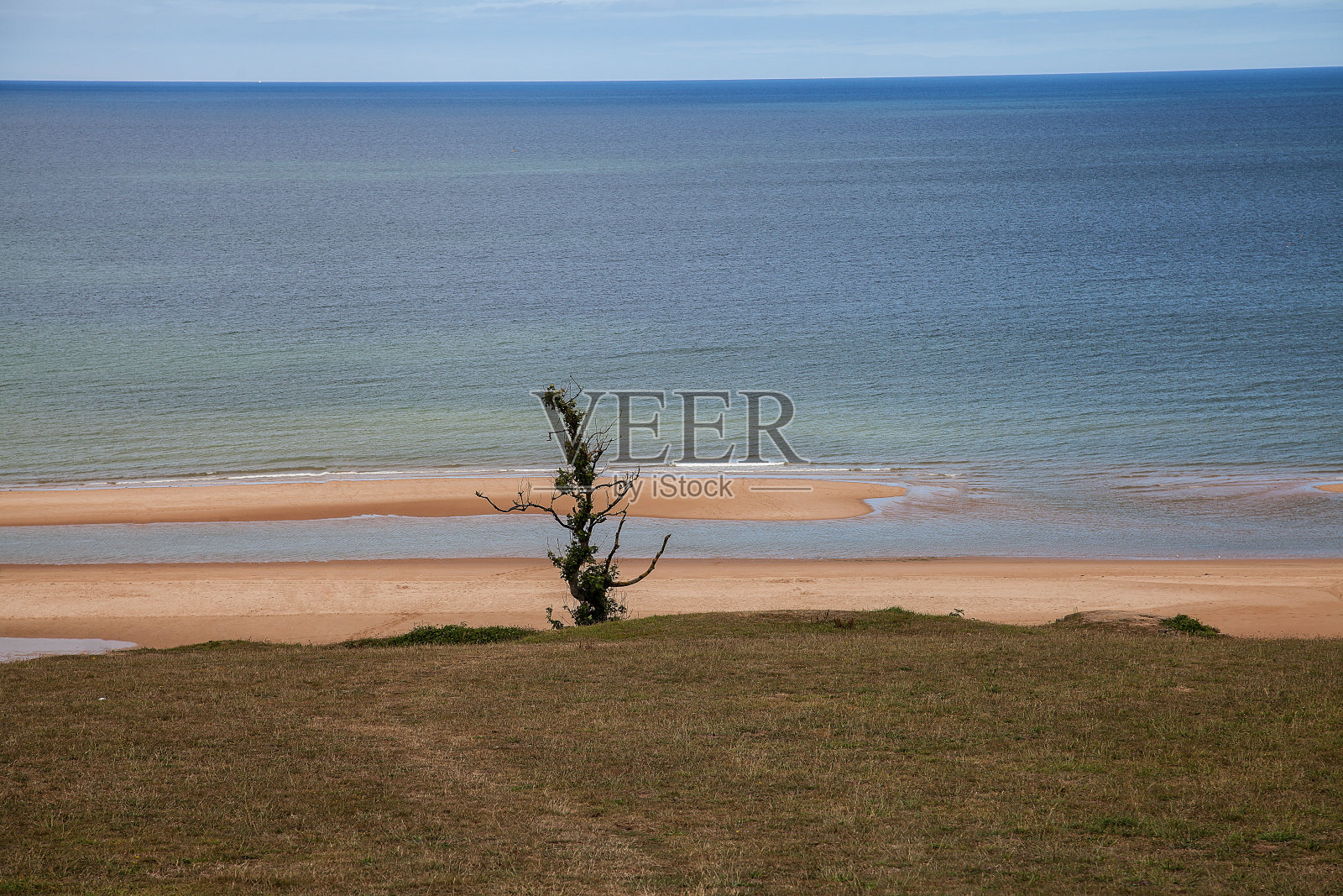 艾因萨姆照片摄影图片