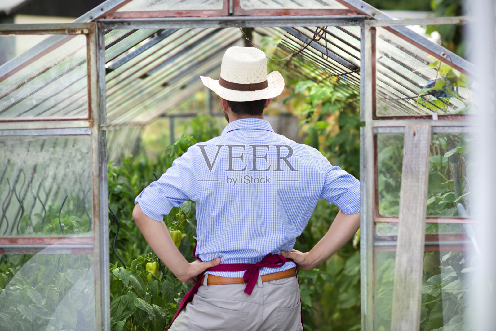 园丁照片摄影图片