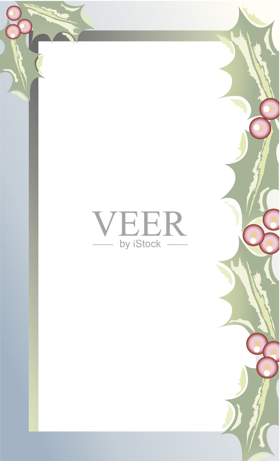 冬青浆果框架C插画图片素材