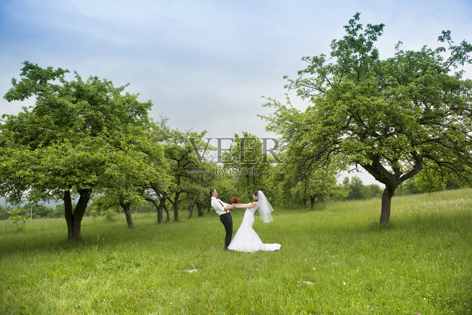 新娘和新郎照片摄影图片