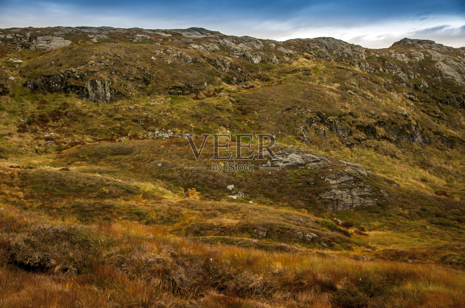 挪威卑尔根周围的景观。照片摄影图片