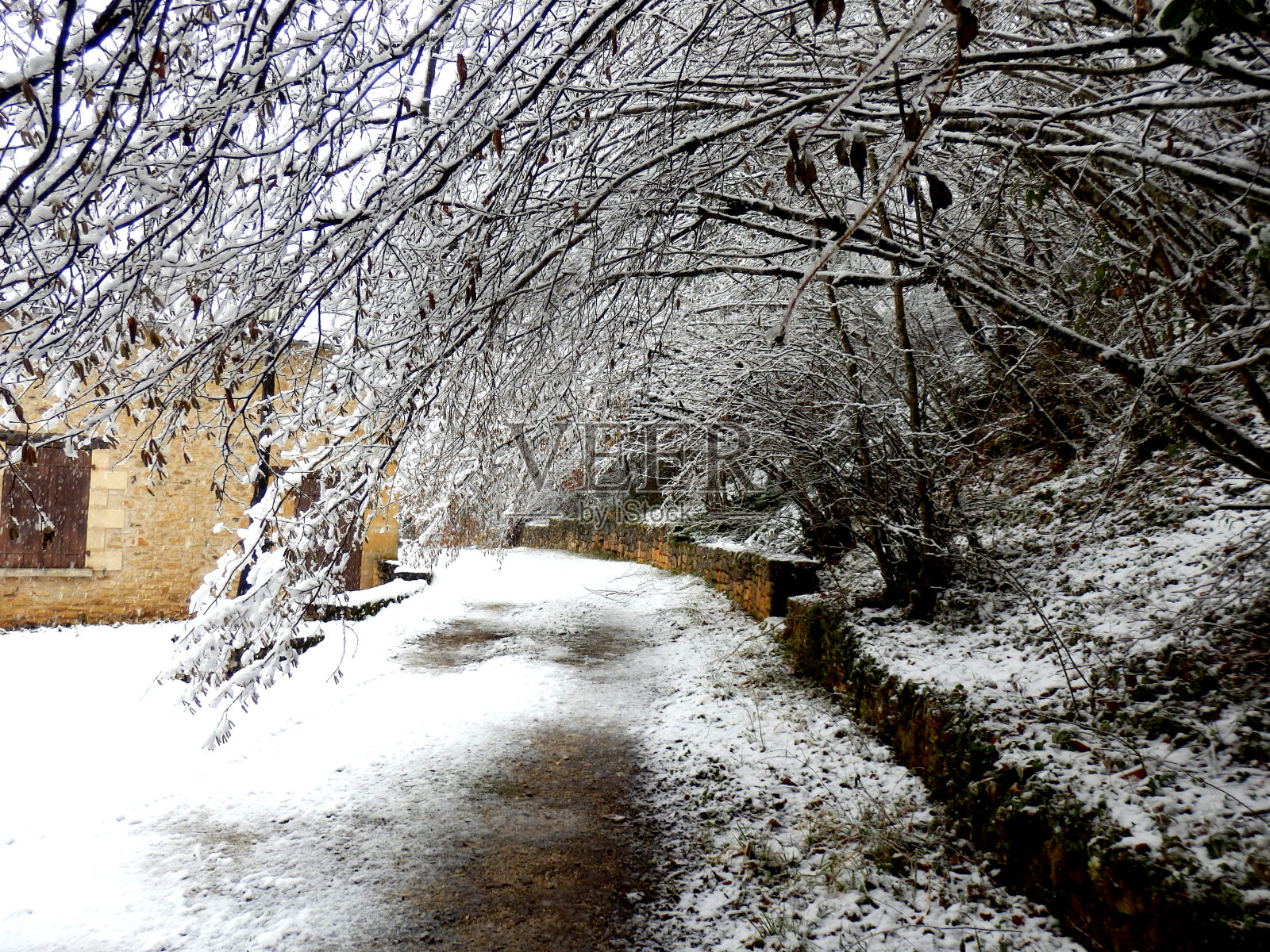 冬季仙境照片摄影图片