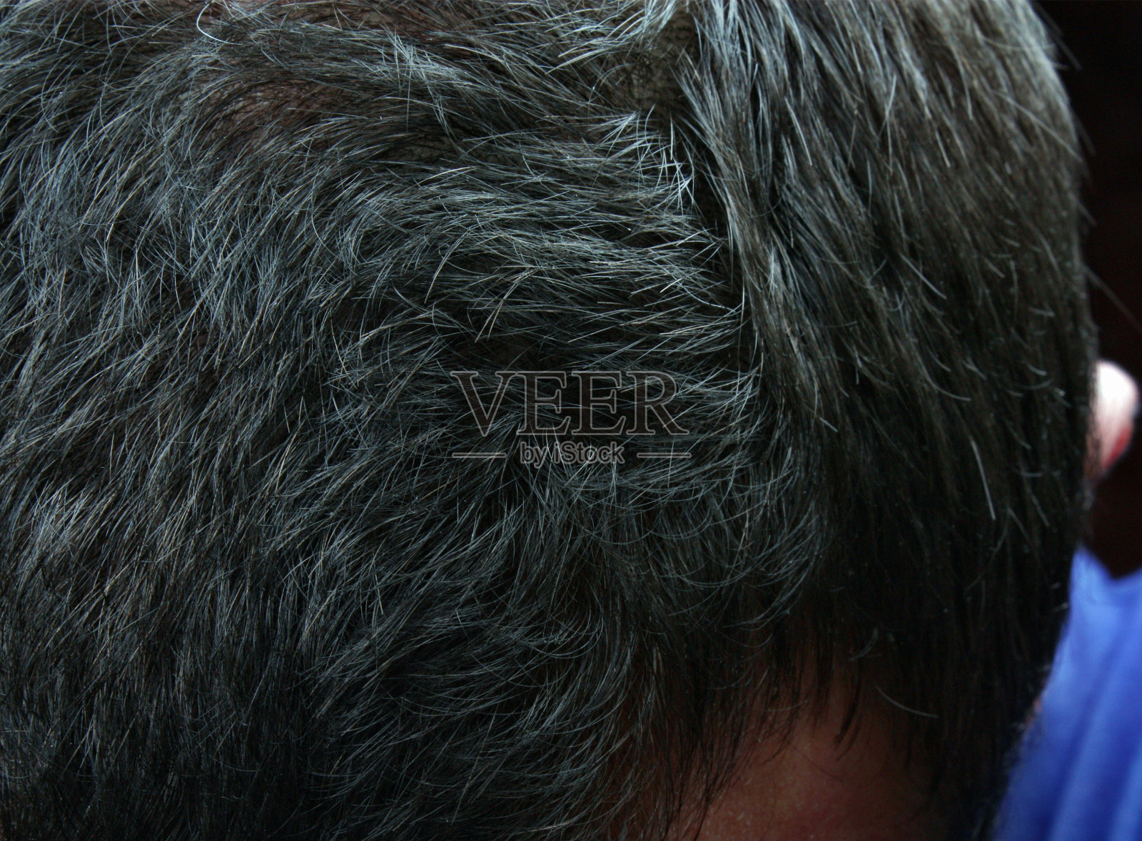 灰白的头发照片摄影图片