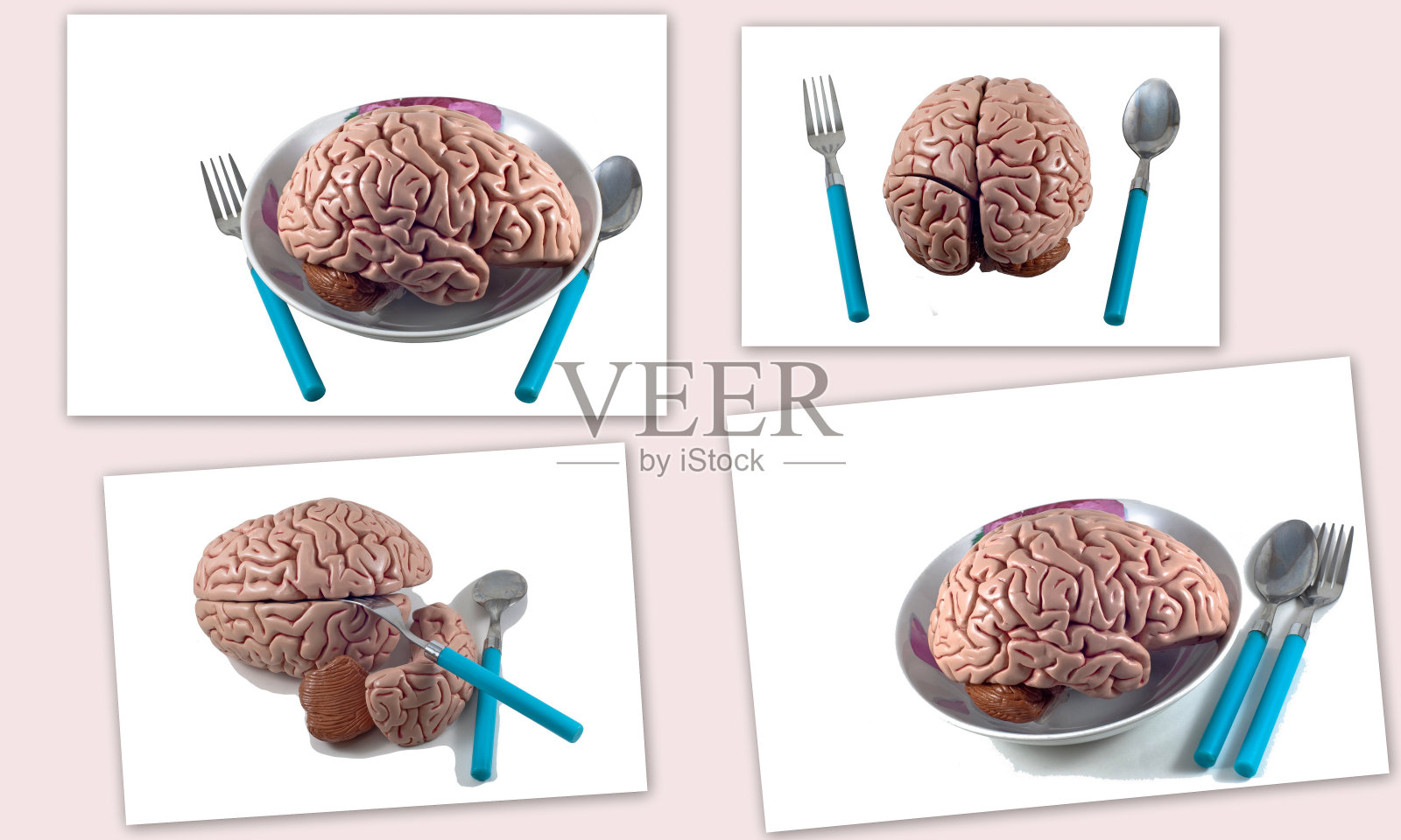 采集分离的脑和颅骨照片摄影图片